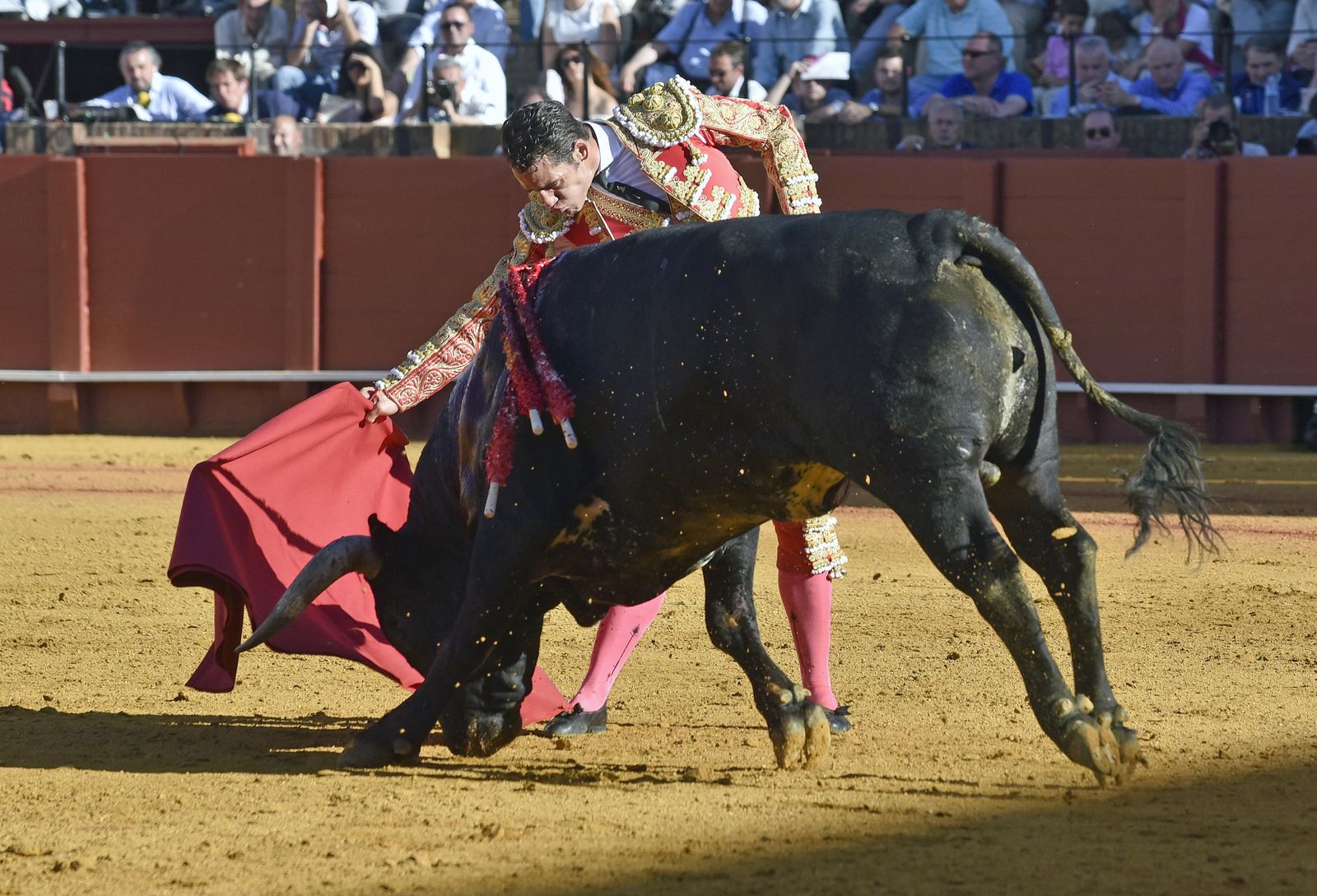 La 14ª de abono en la Real Maestranza de Sevilla, en imágenes