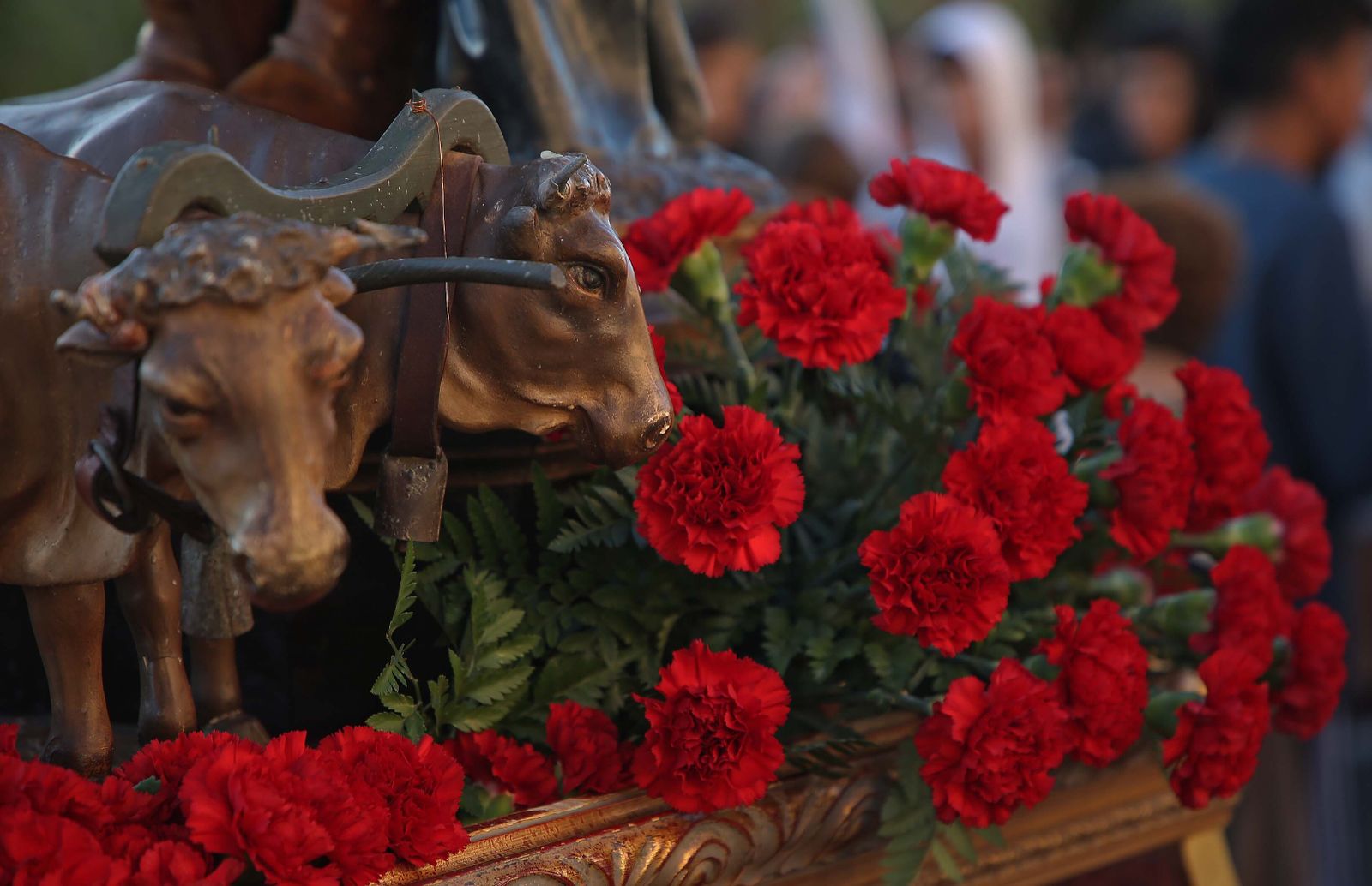 El regreso a su templo de la Virgen de la Luz de Tarifa, en imágenes