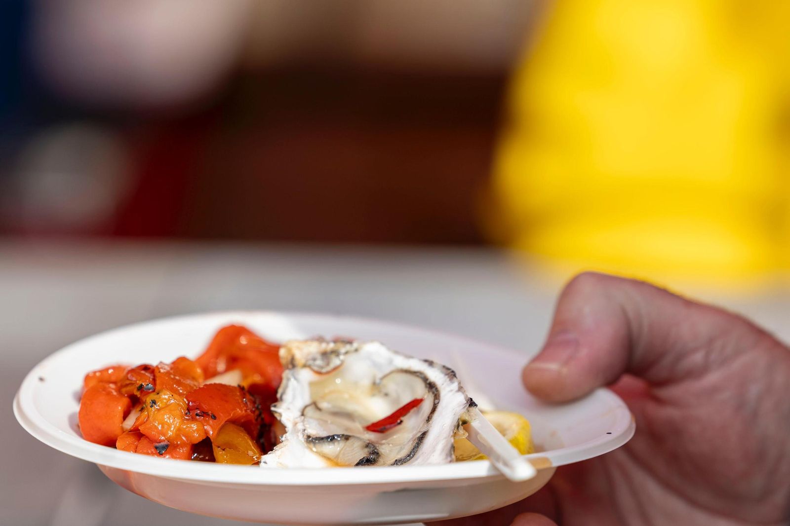 Imágenes de la Ostionada este domingo en San Antonio