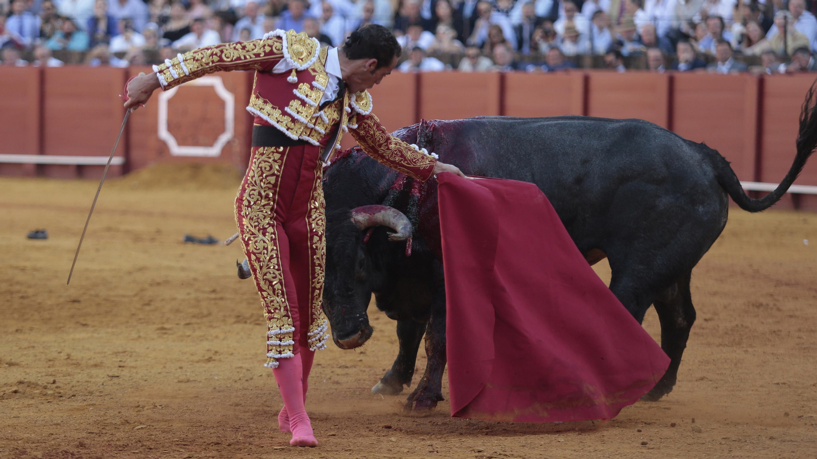 Las imágenes de la corrida de Los Miura