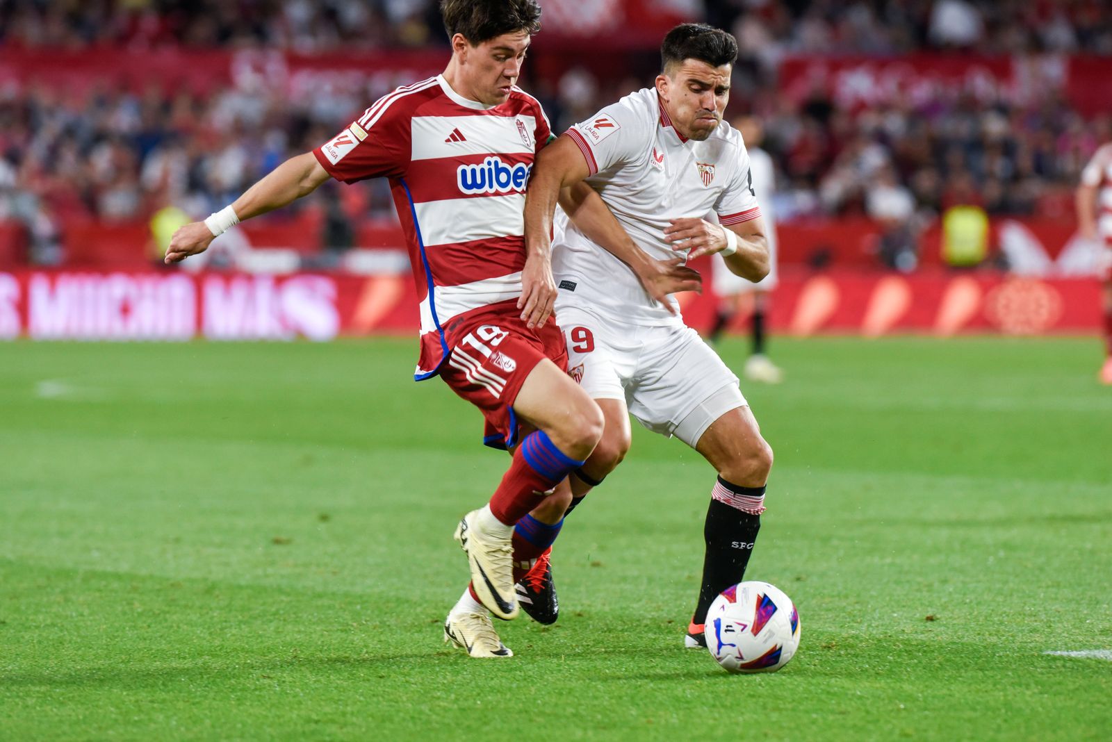 Las imágenes del Sevilla FC - Granada CF