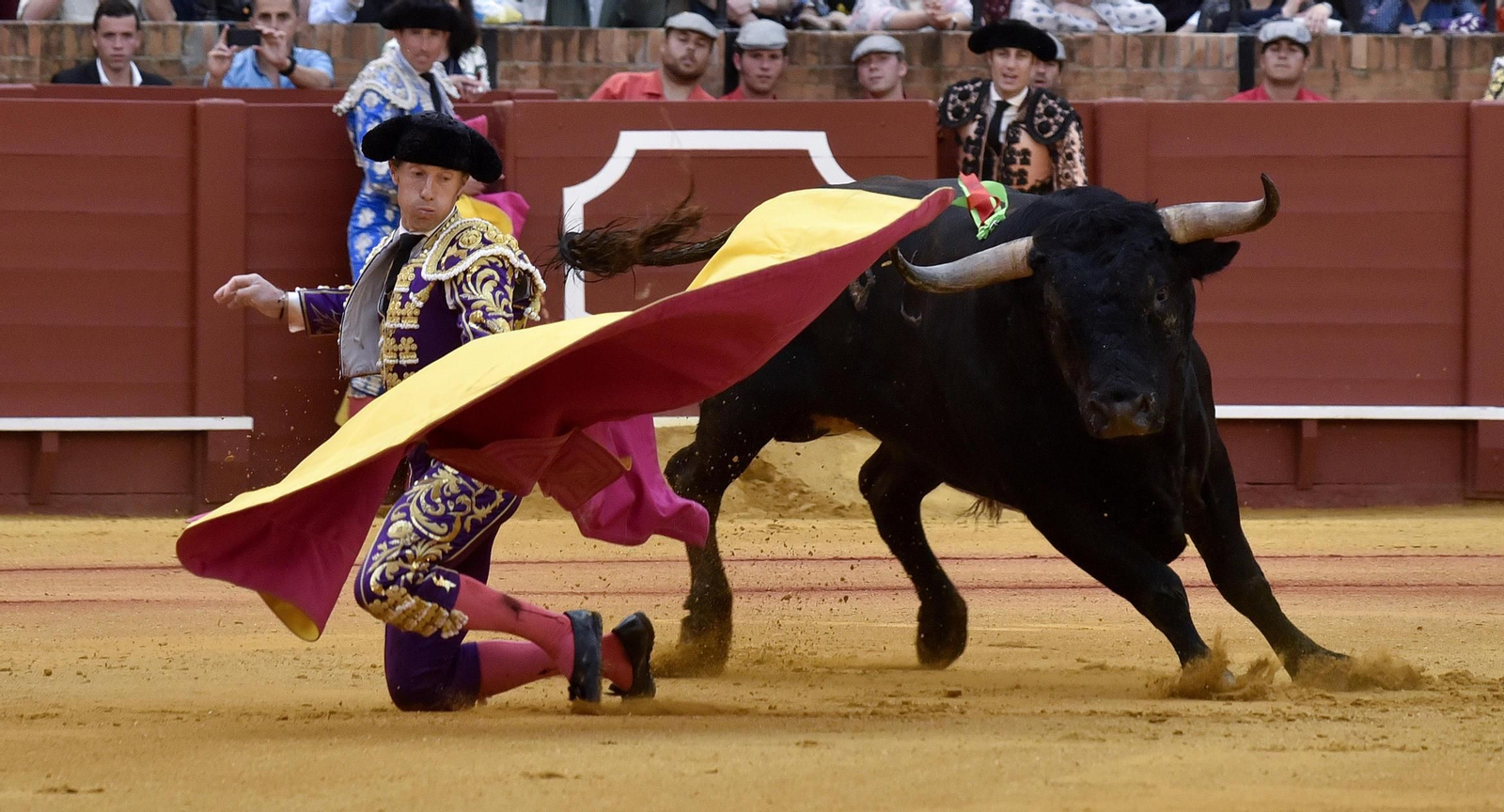 Las imágenes de la 14ª de abono de la Maestranza