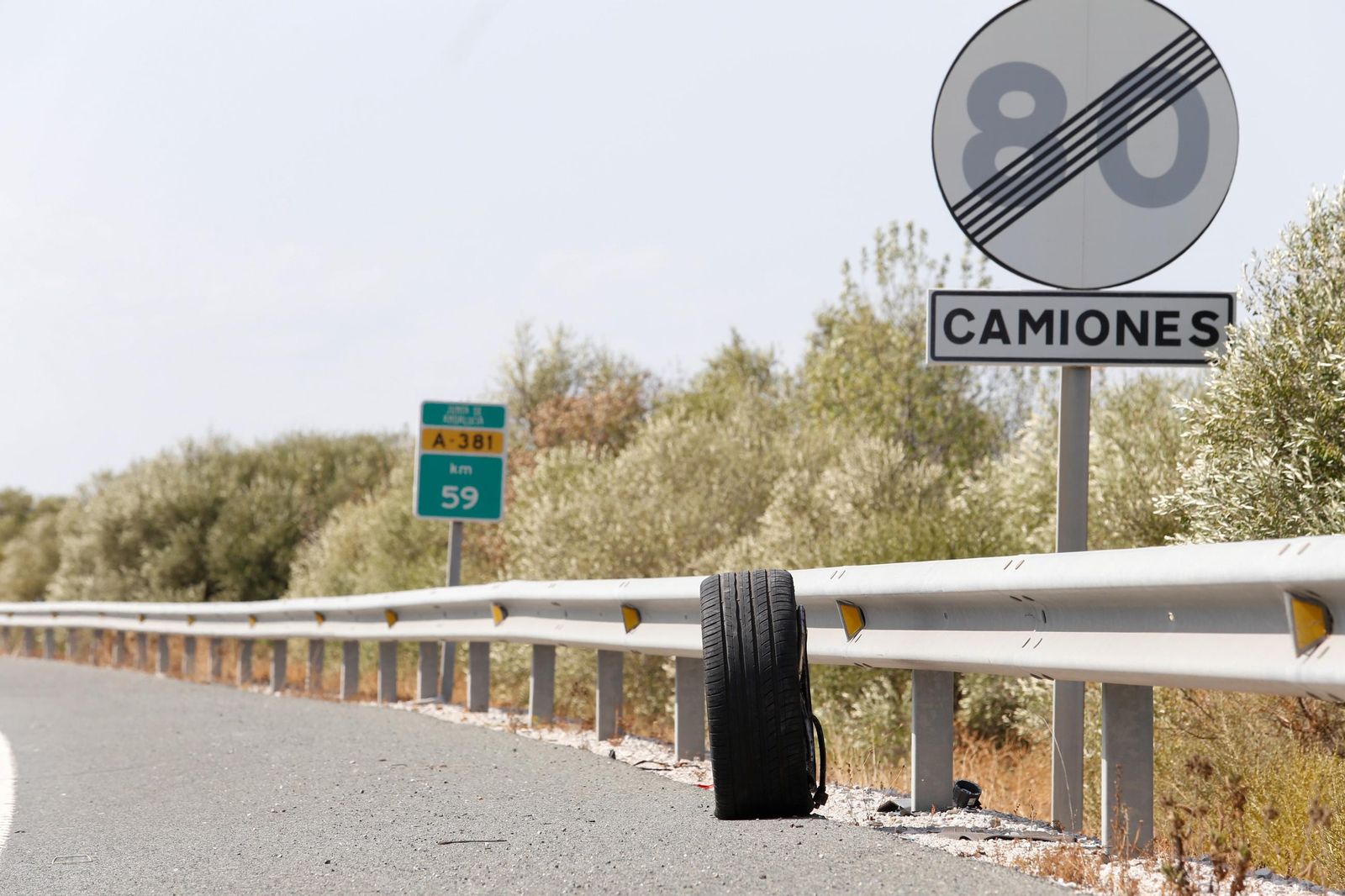 El accidente mortal en la A-381, a la altura de Alcalá de los Gazules, en imágenes