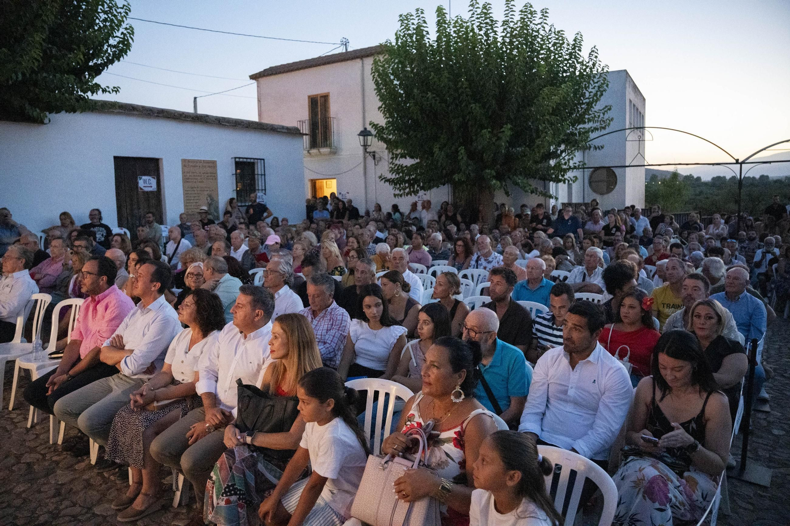 Las mejores imágenes del Festival de Flamenco en Fondón