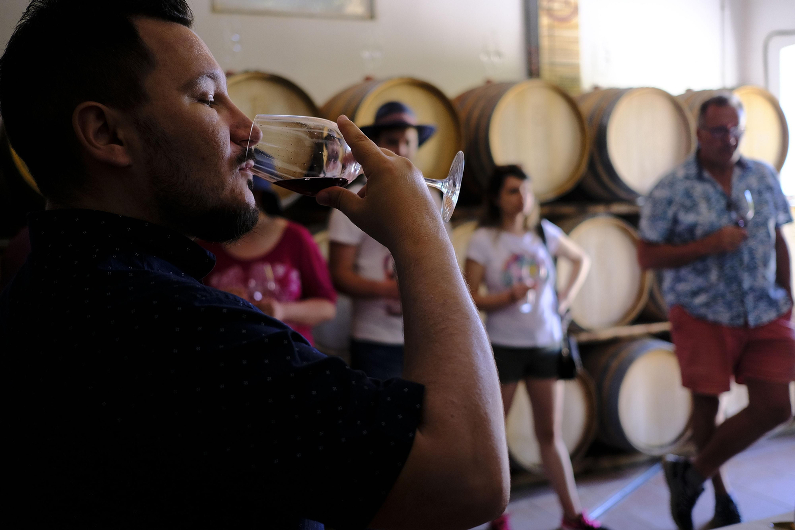 El regreso del turismo extranjero a las bodegas rondeñas, en fotos