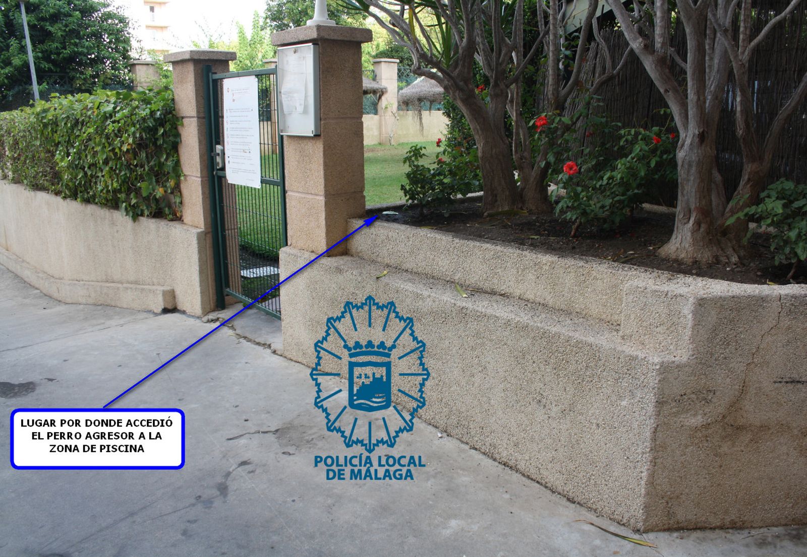 Zona por la que el perro habría accedido a la zona de los menores