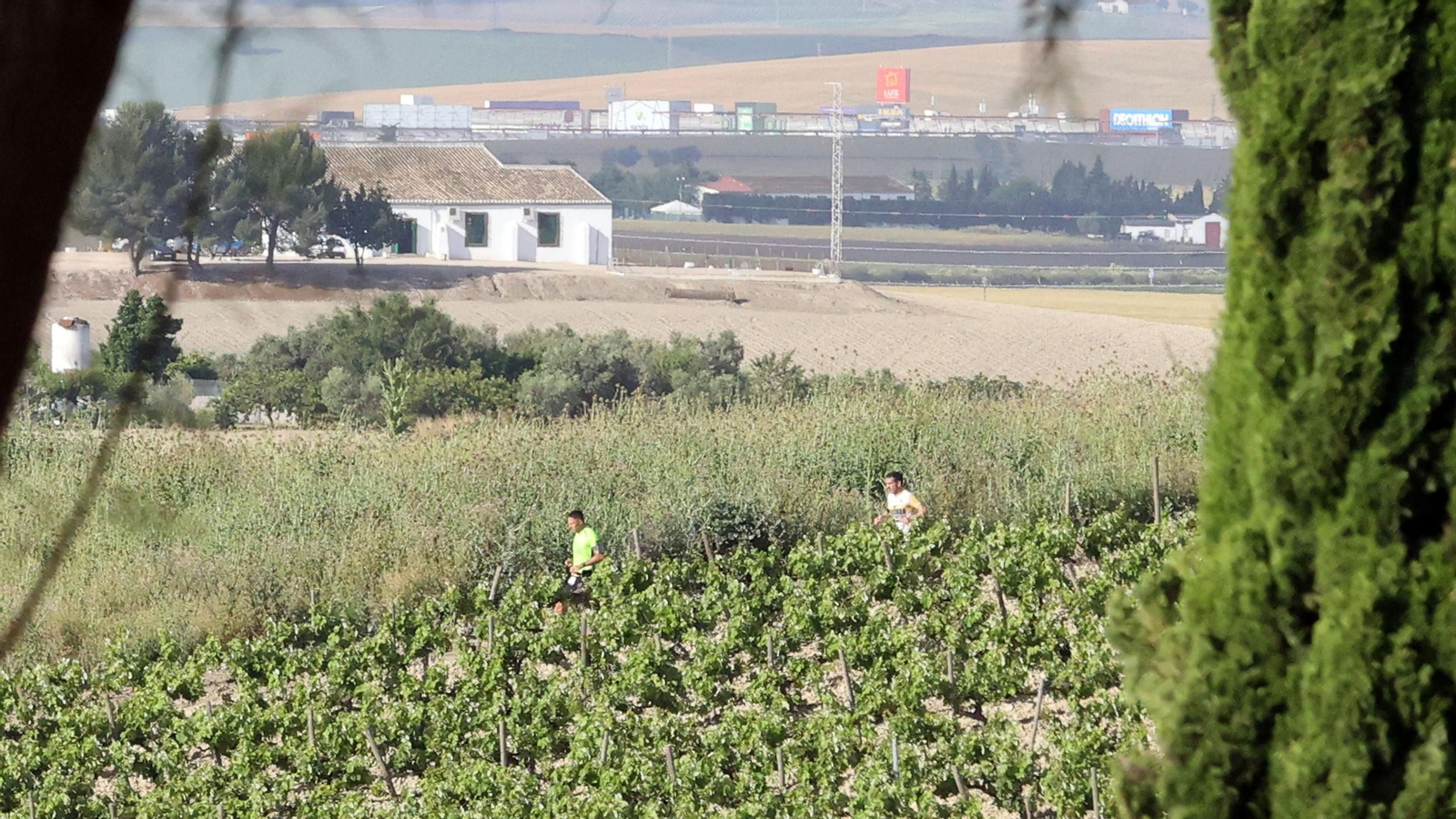 Búscate en la Sherry Maratón 2025 de Jerez (I)