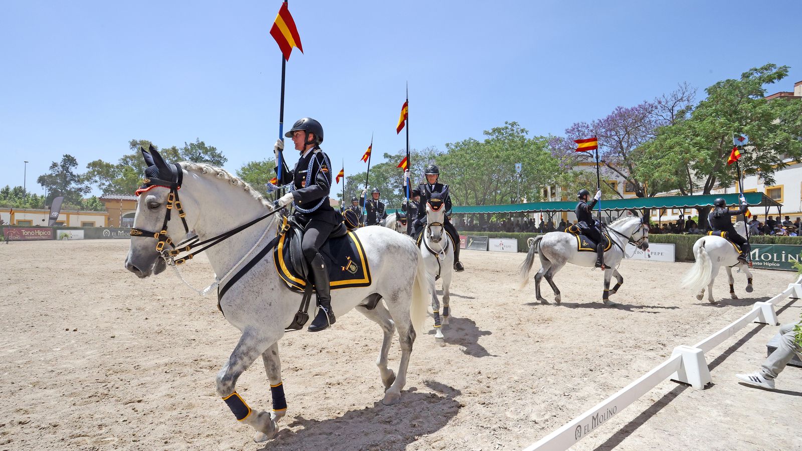 Entrega del Caballo de Oro en Jerez a la Unidad Especial de Caballería de la Policía Nacional.