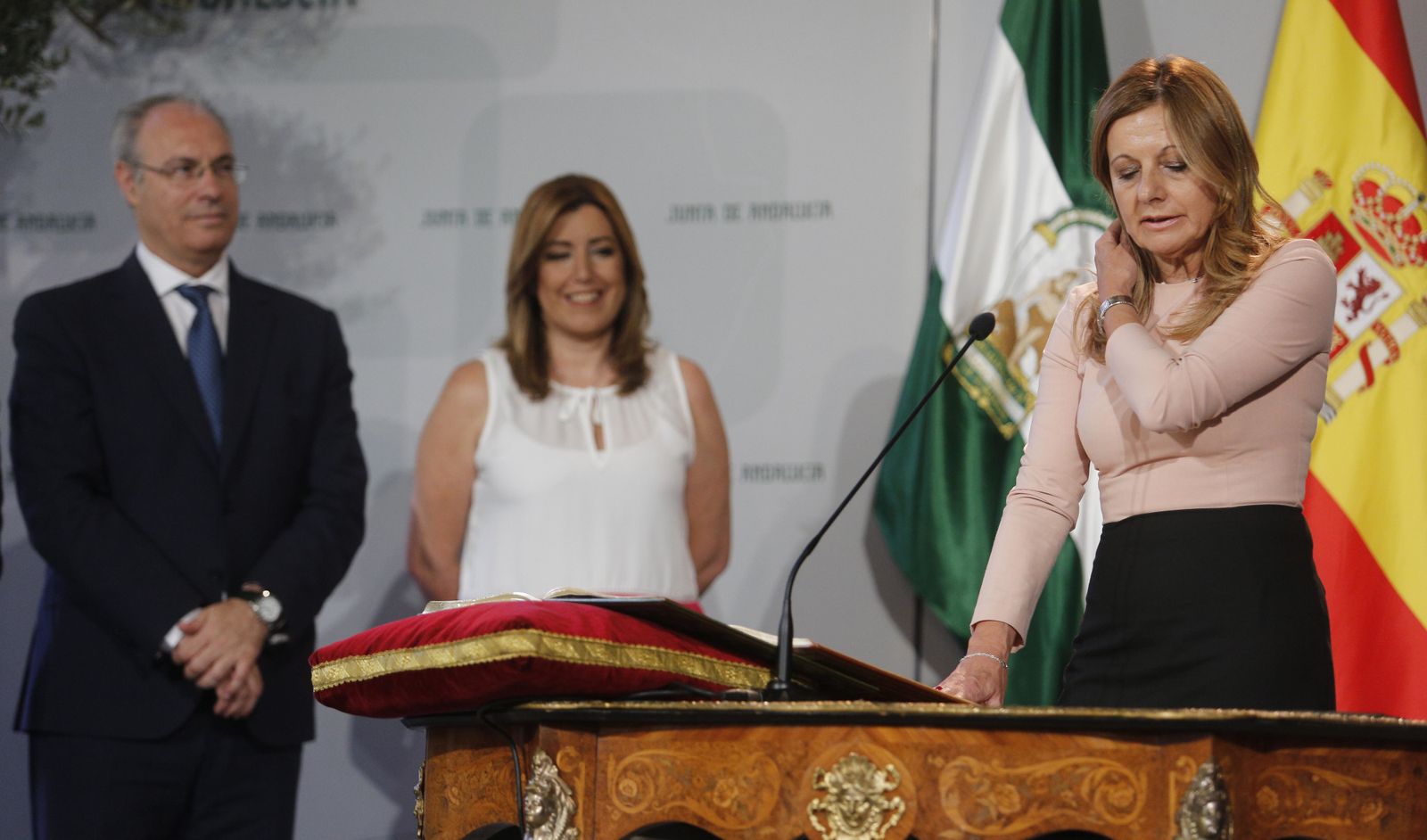 Experiencia y conocimiento de su área