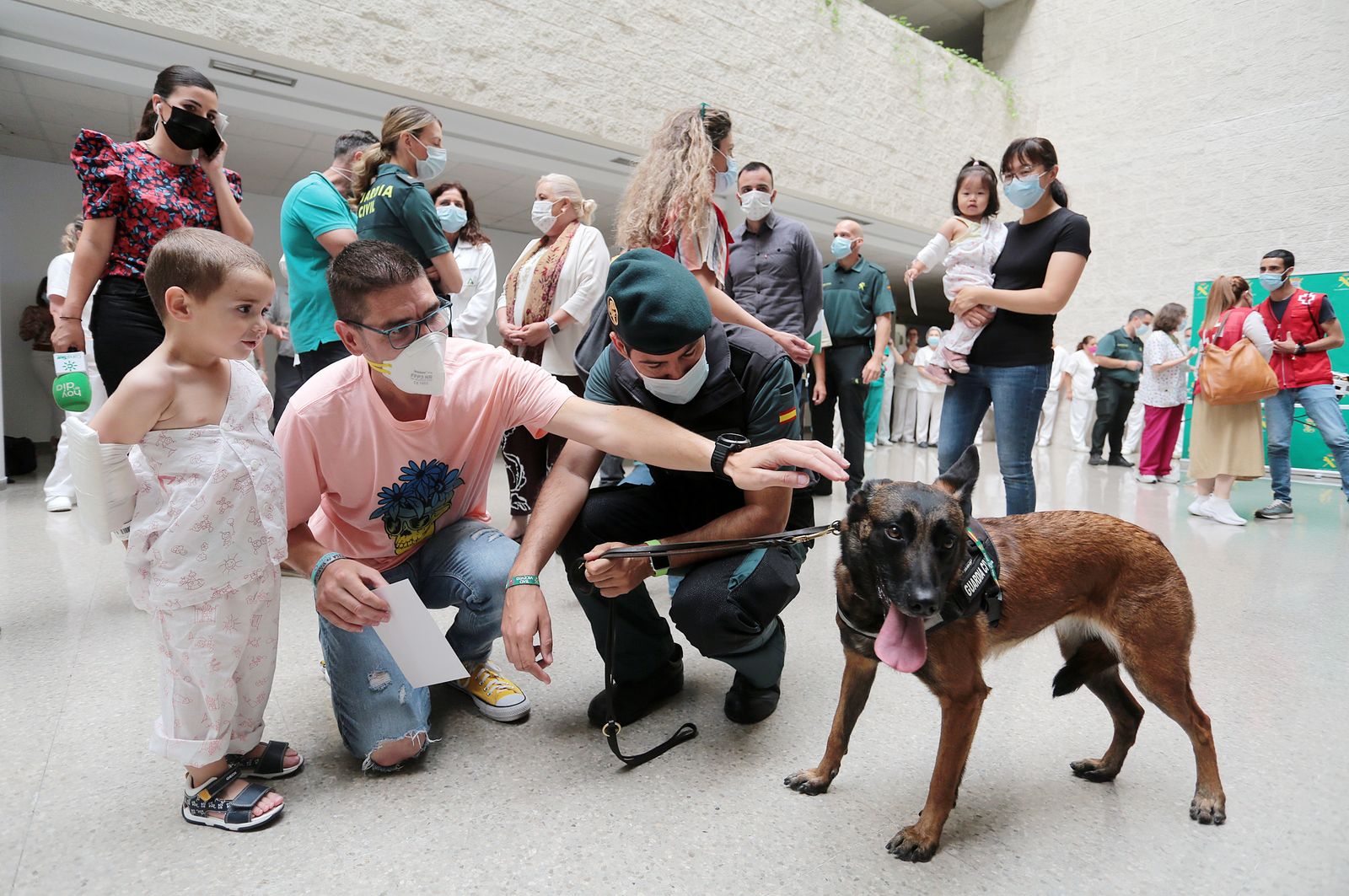Imágenes de la exhibición de la Guardia Civil en el Hospital Juan Ramón Jiménez con motivo del 35 aniversario de la incorporación de la mujer