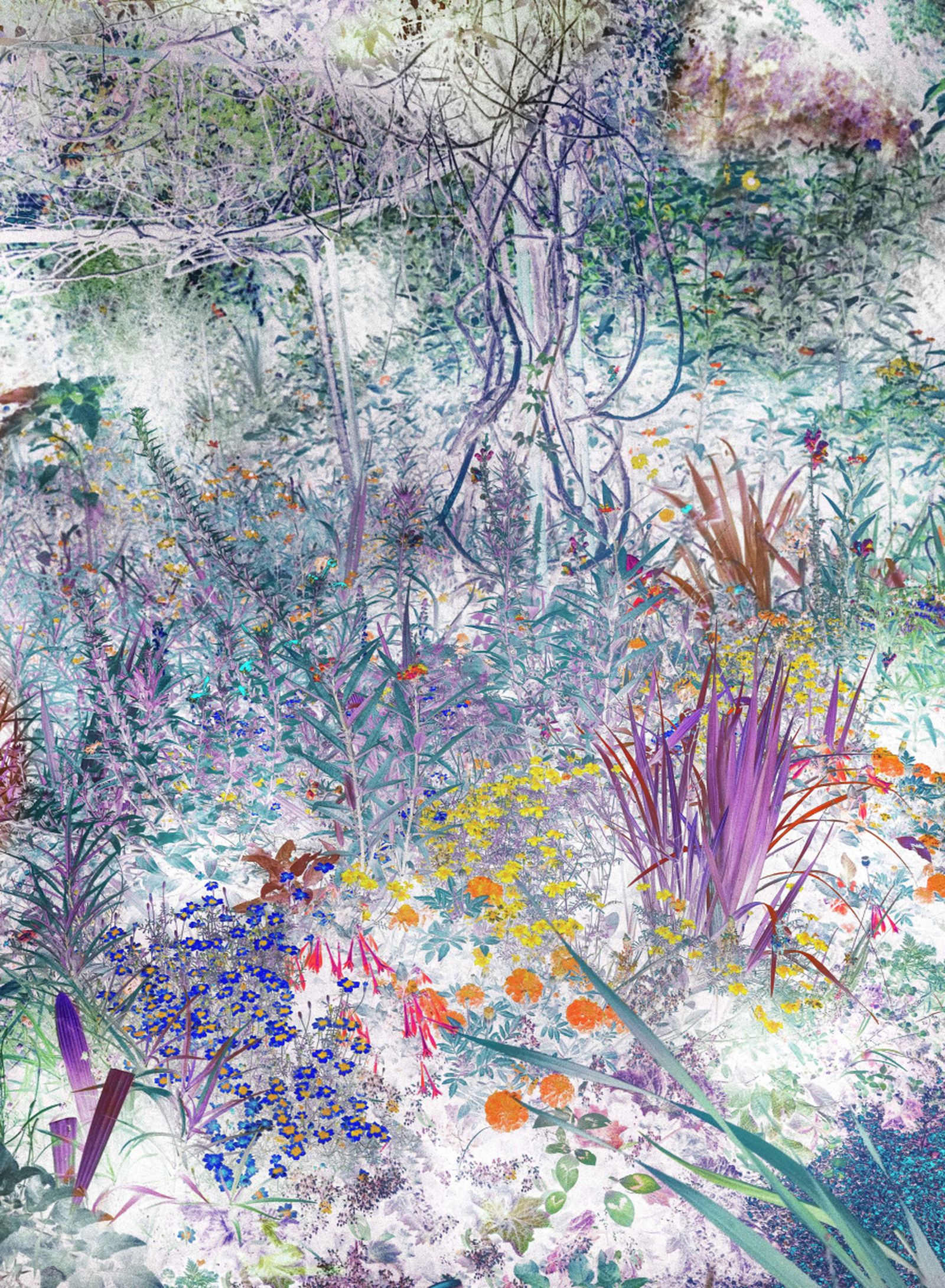 Fragmento de la fotografía galardonada con el premio Pilar Citoler