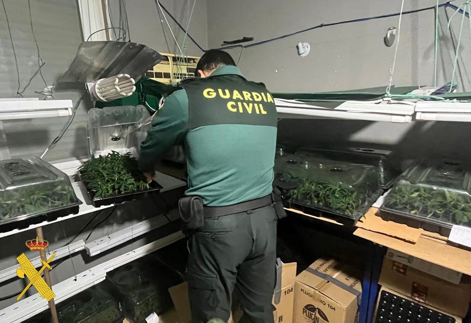 Marihuana que localizaron los agentes de la Guardia Civil en la vivienda.