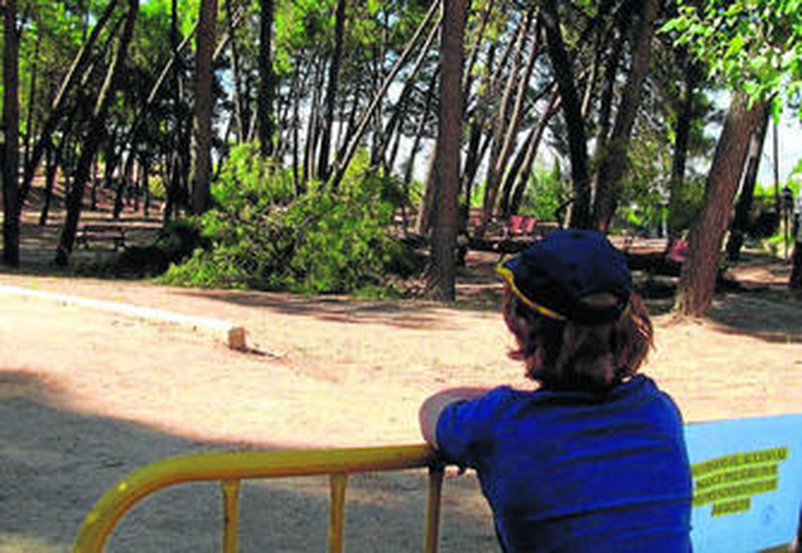 El enclave donde Penón sitúa el enterramiento de Lorca.