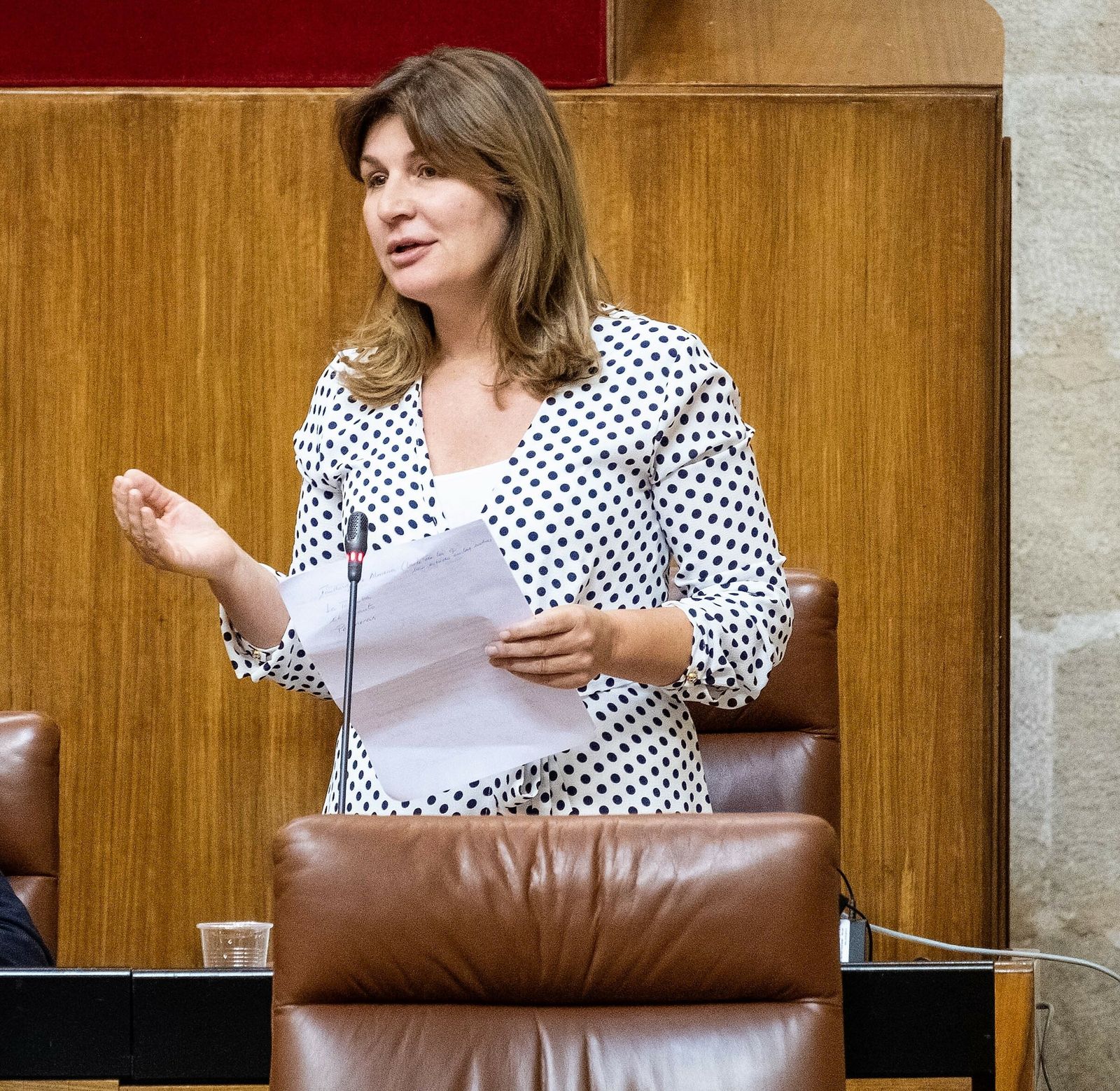 Rosalía Espinosa, durante una intervención en el Parlamento de Andalucía.