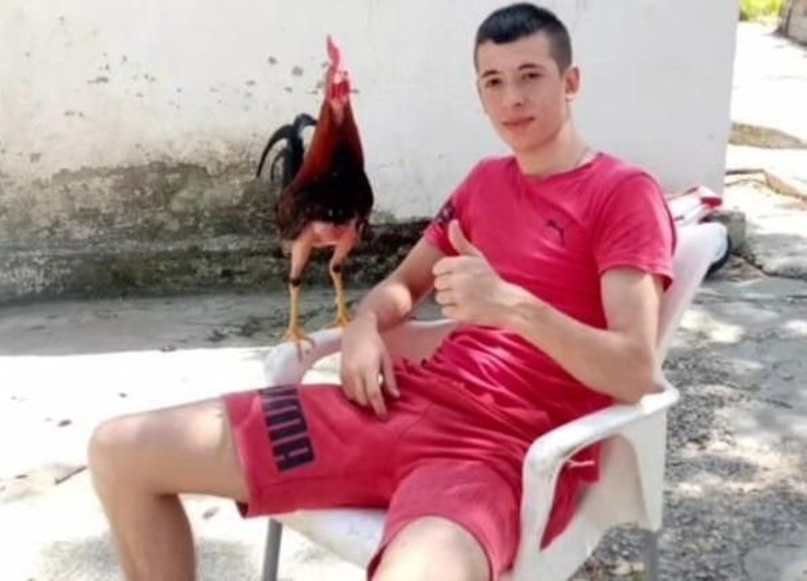 El fallecido Jesús Maya, gran amante de los gallos.