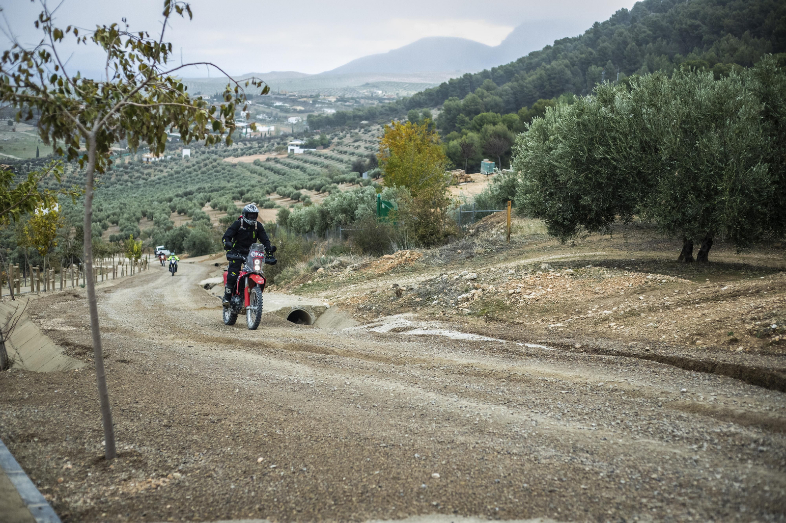 ¿Estuviste en la tercera edición de la ruta Olivobook? Búscate
