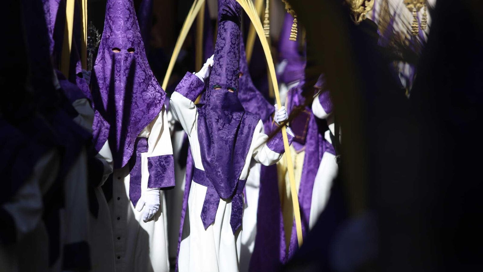 Nazarenos de Pollinica. Nazarenos de Pollinica.
