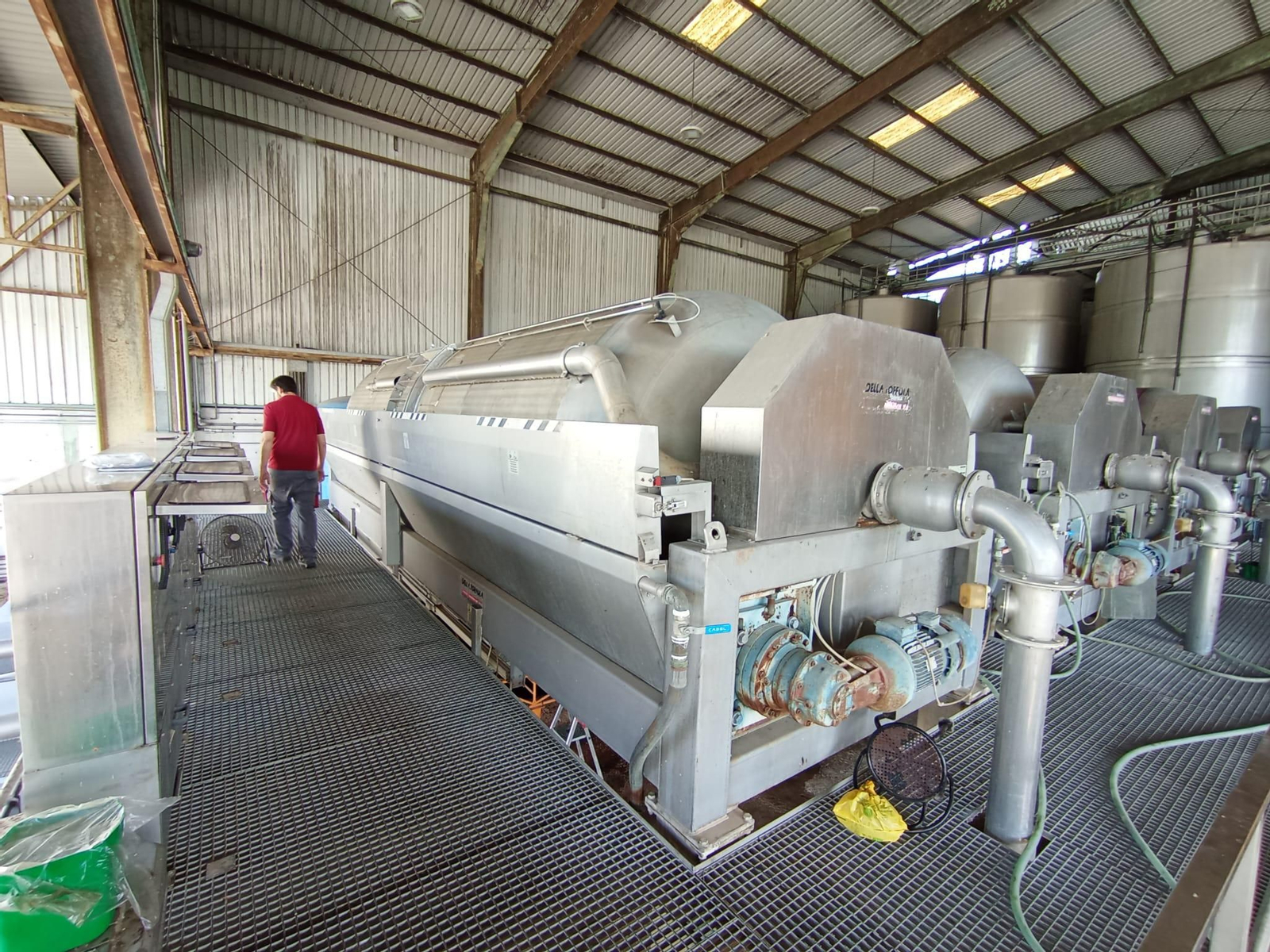 La vendimia de Montilla-Moriles