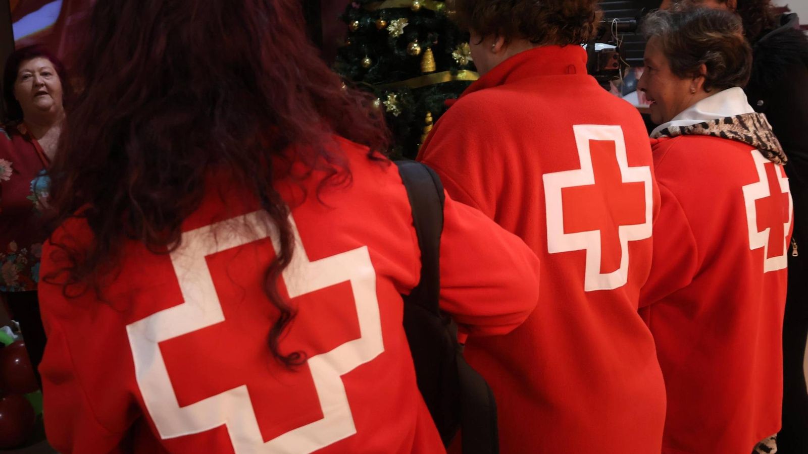 Sin los voluntarios este proyecto no sería posible.