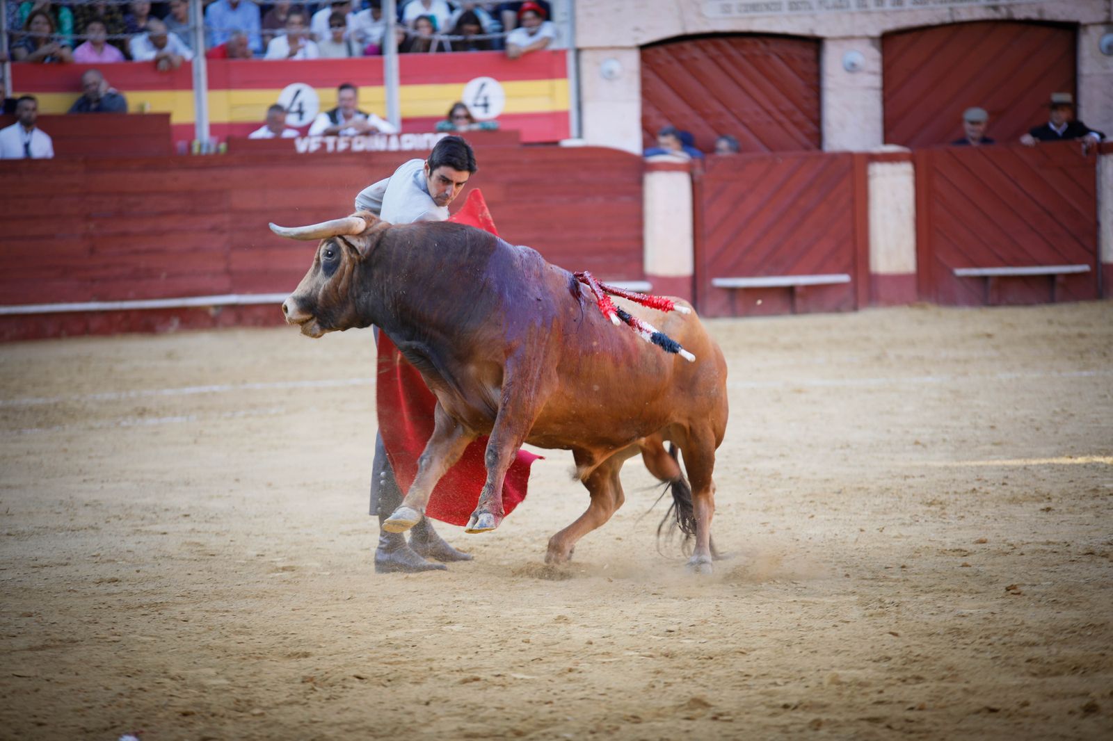 Imágenes del festival mixto lucha contra el cáncer