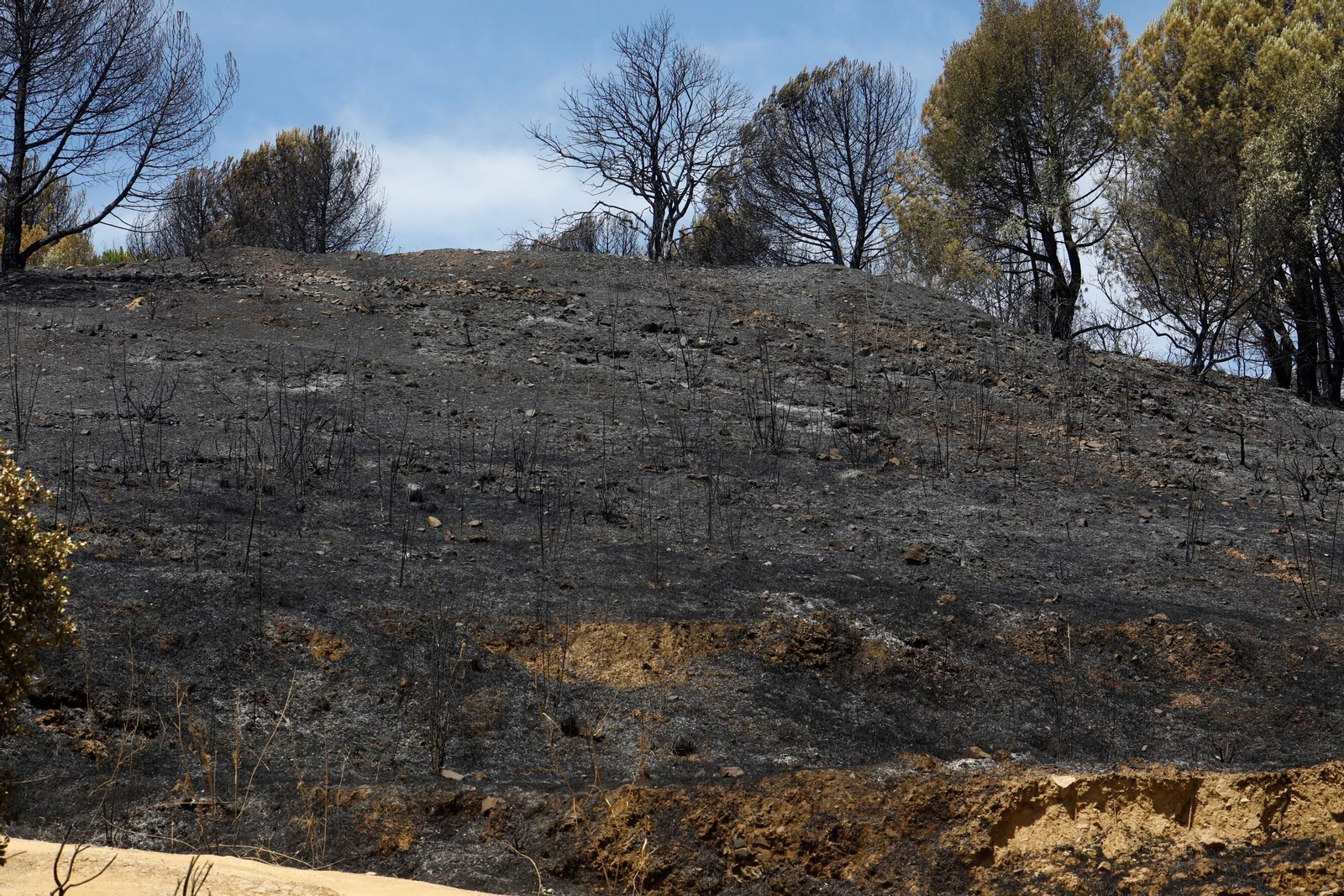Zona cero del incendio de la Sierra de Córdoba