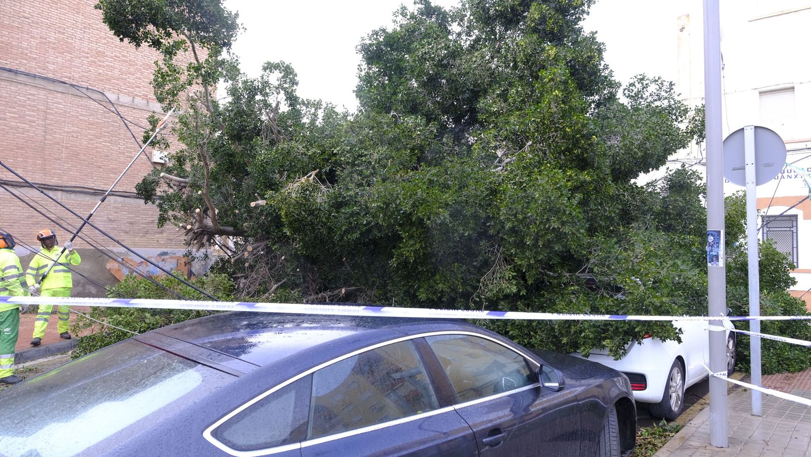 La Borrasca Leonardo se ensaña con Almería, en imágenes