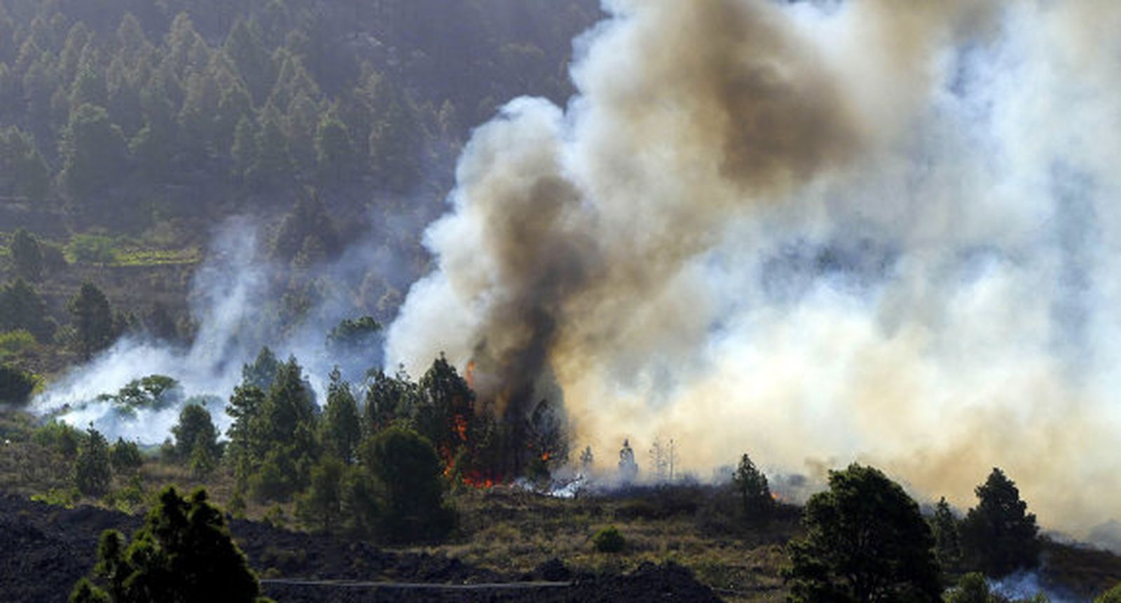 Prisión sin fianza para el alemán acusado del fuego de La Palma