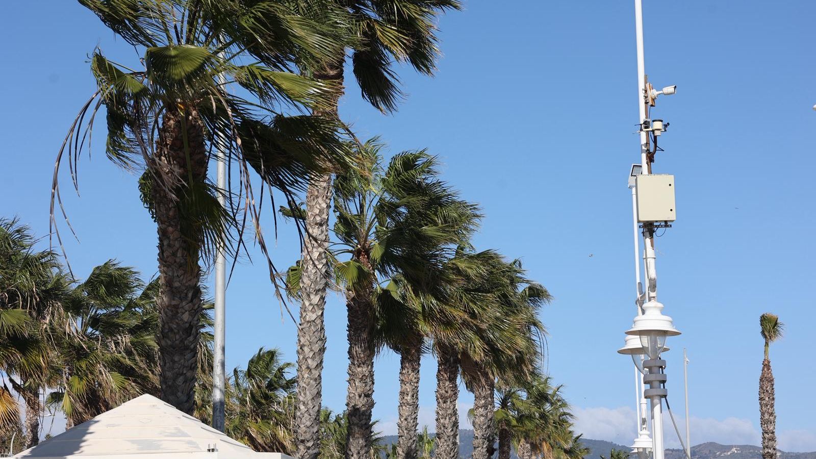 Rachas de viento en Málaga capital