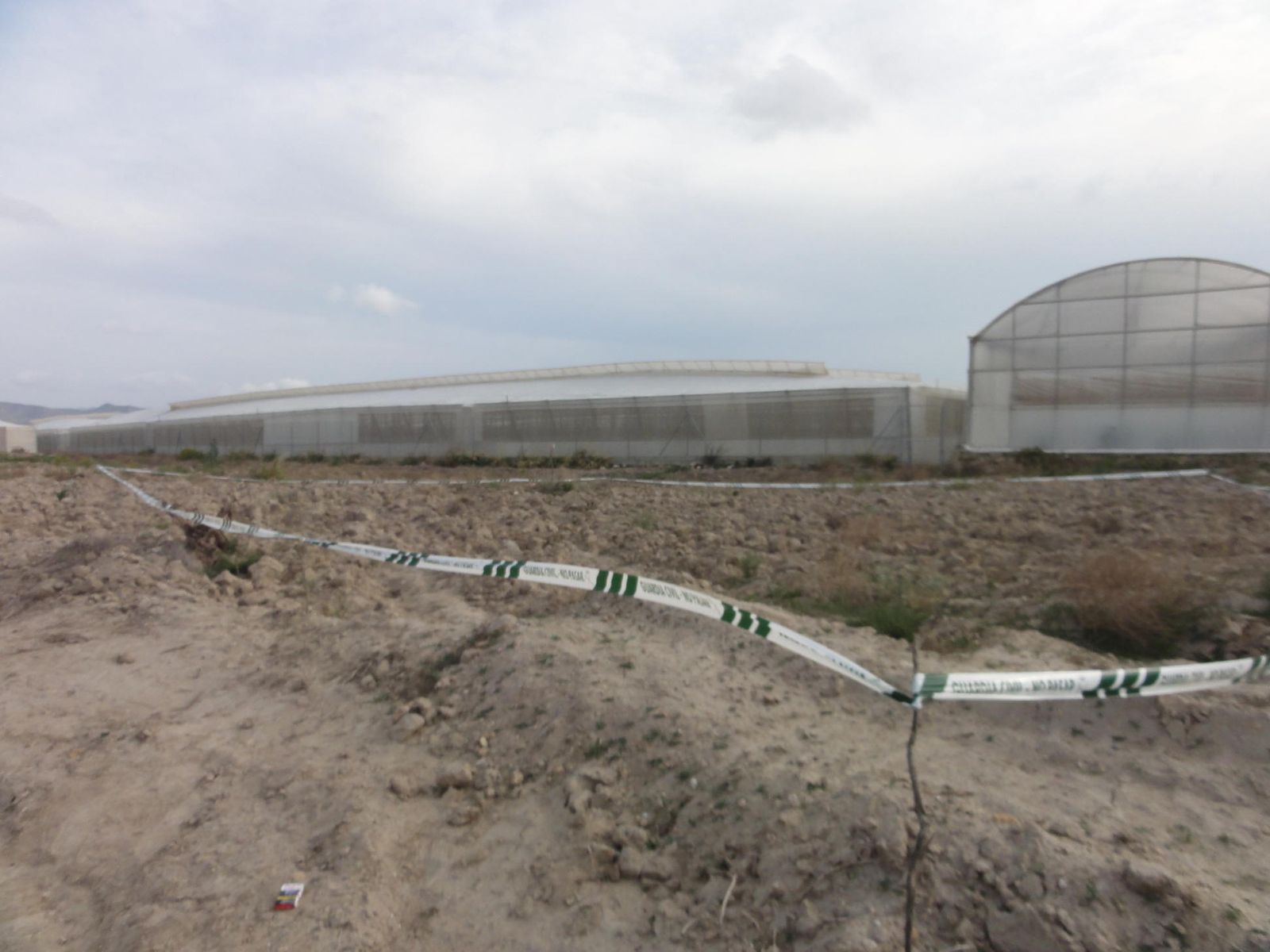 Lugar en el que han aparecido los restos óseos en el paraje Boquera de las Morillas.