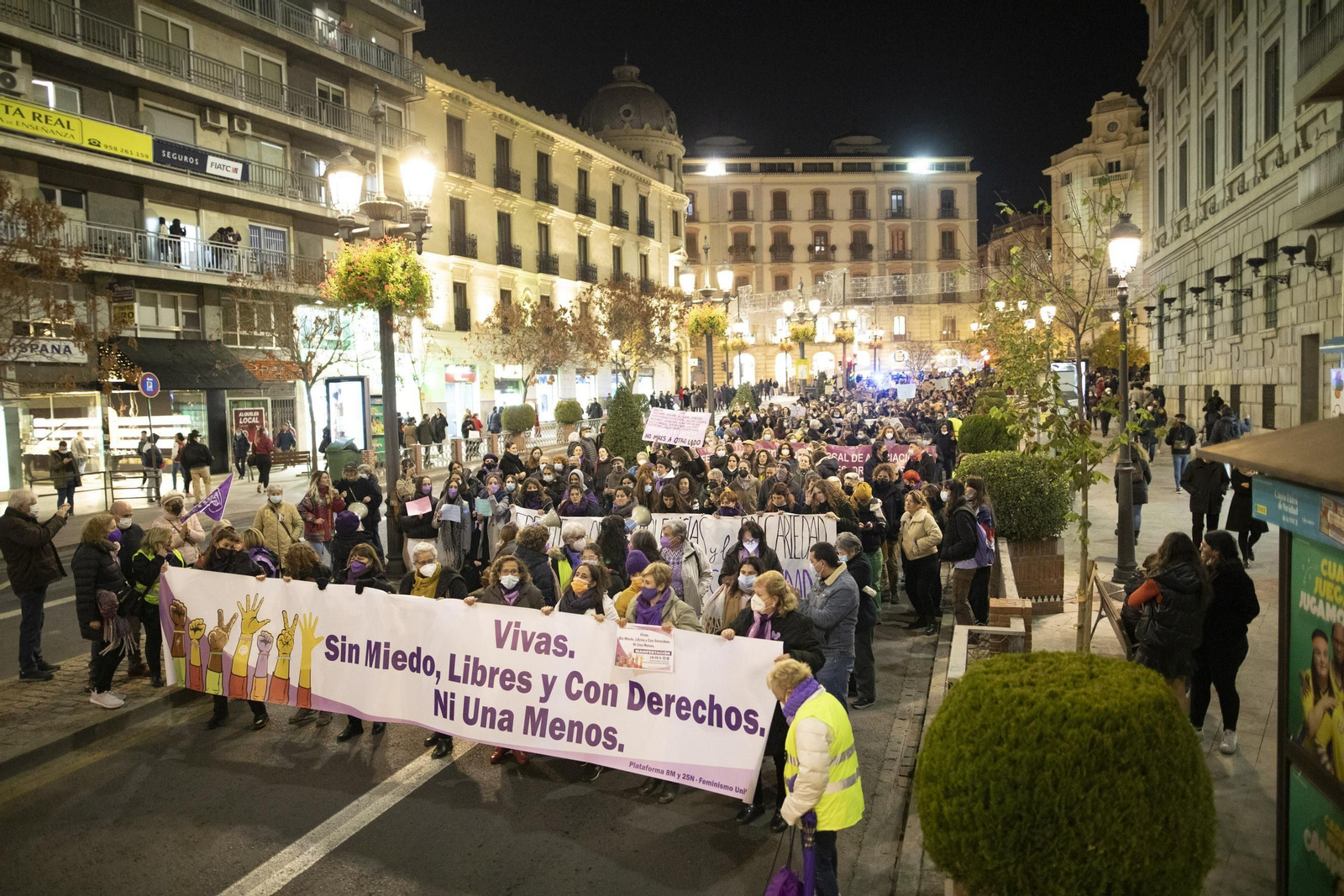 La manifestación del 25-N en Granada en imágenes