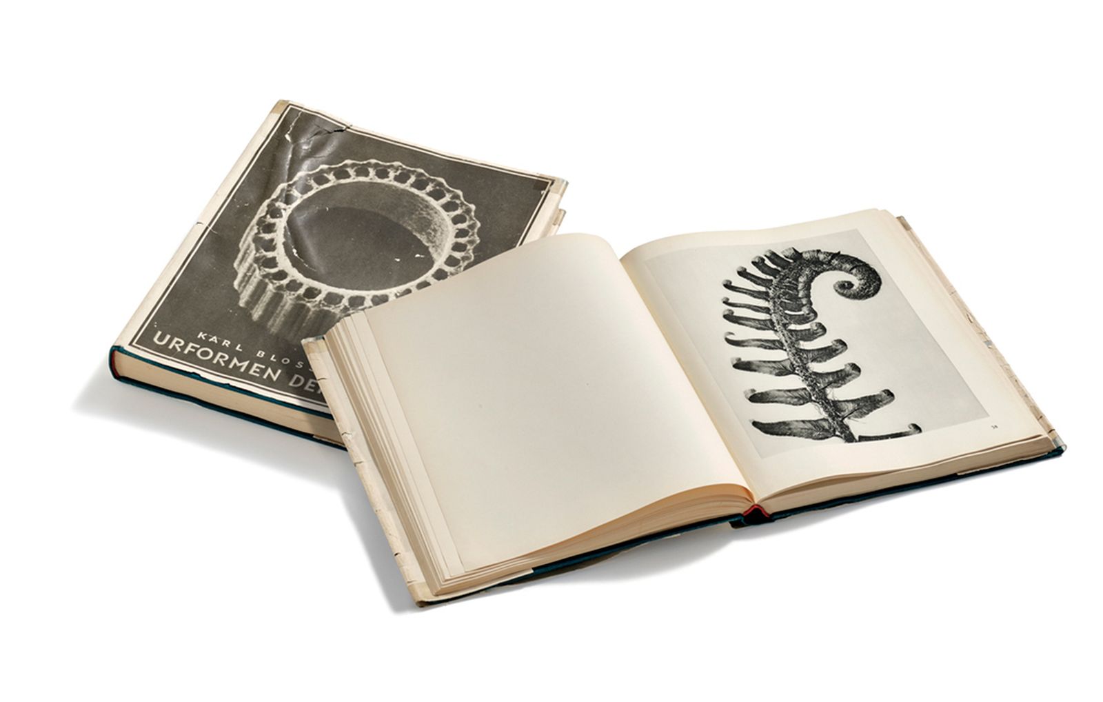 Guía cultural Loewe.