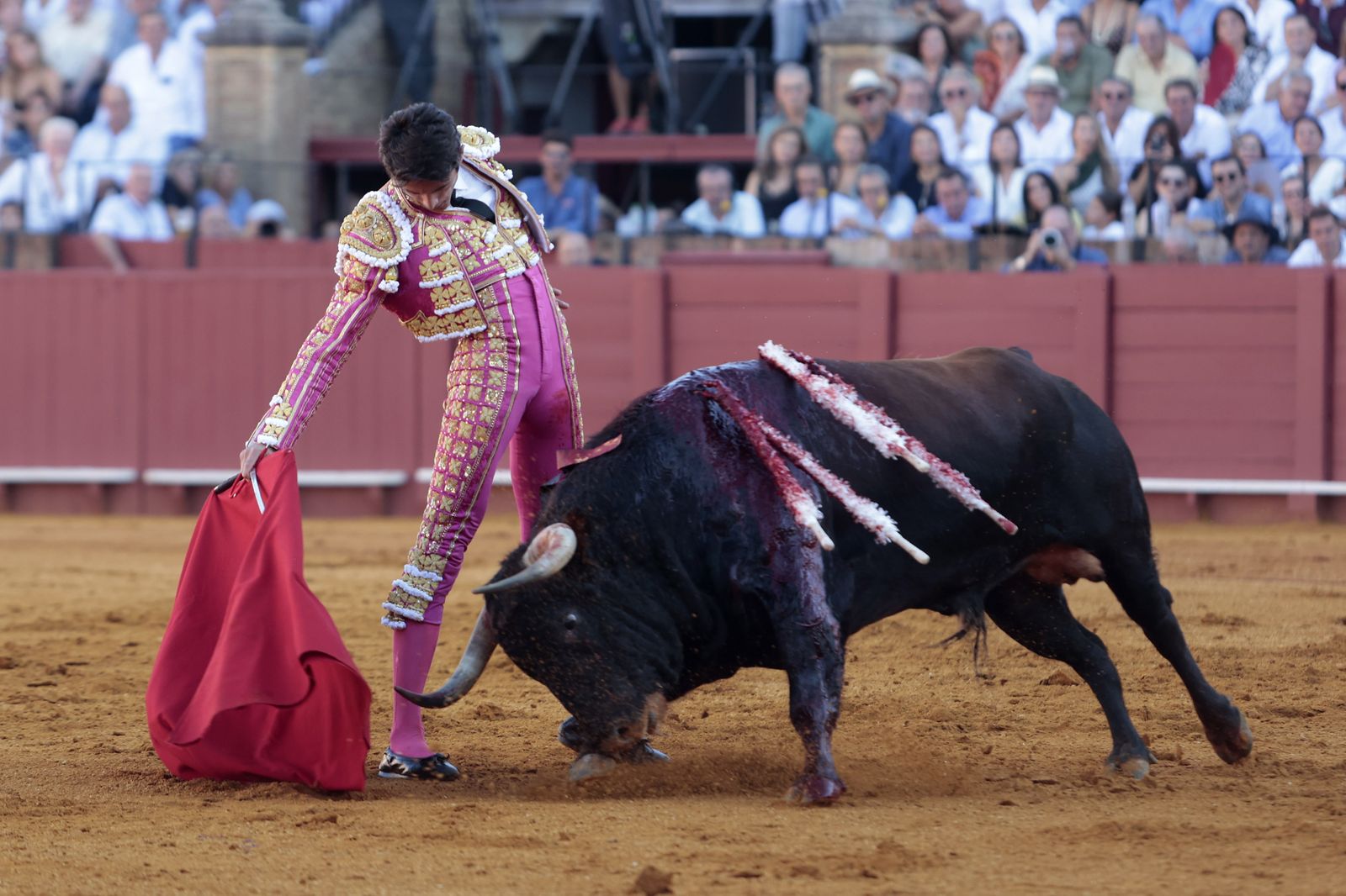 El triunfo de Castella en imágenes