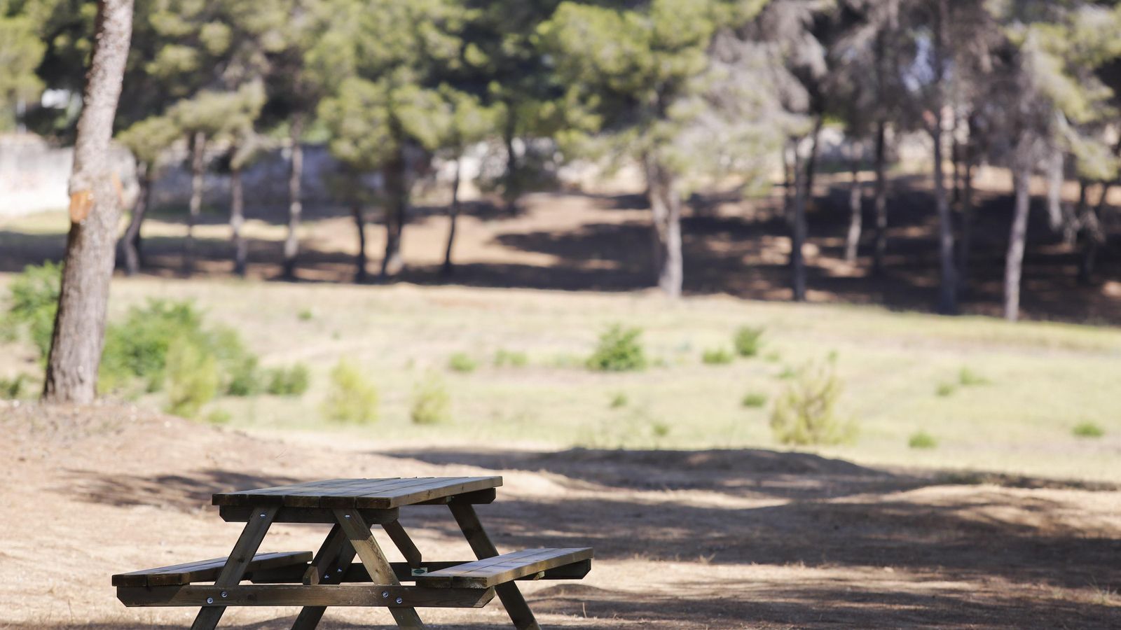 Mobiliario instalado en la parcela para el disfrute de los visitantes.
