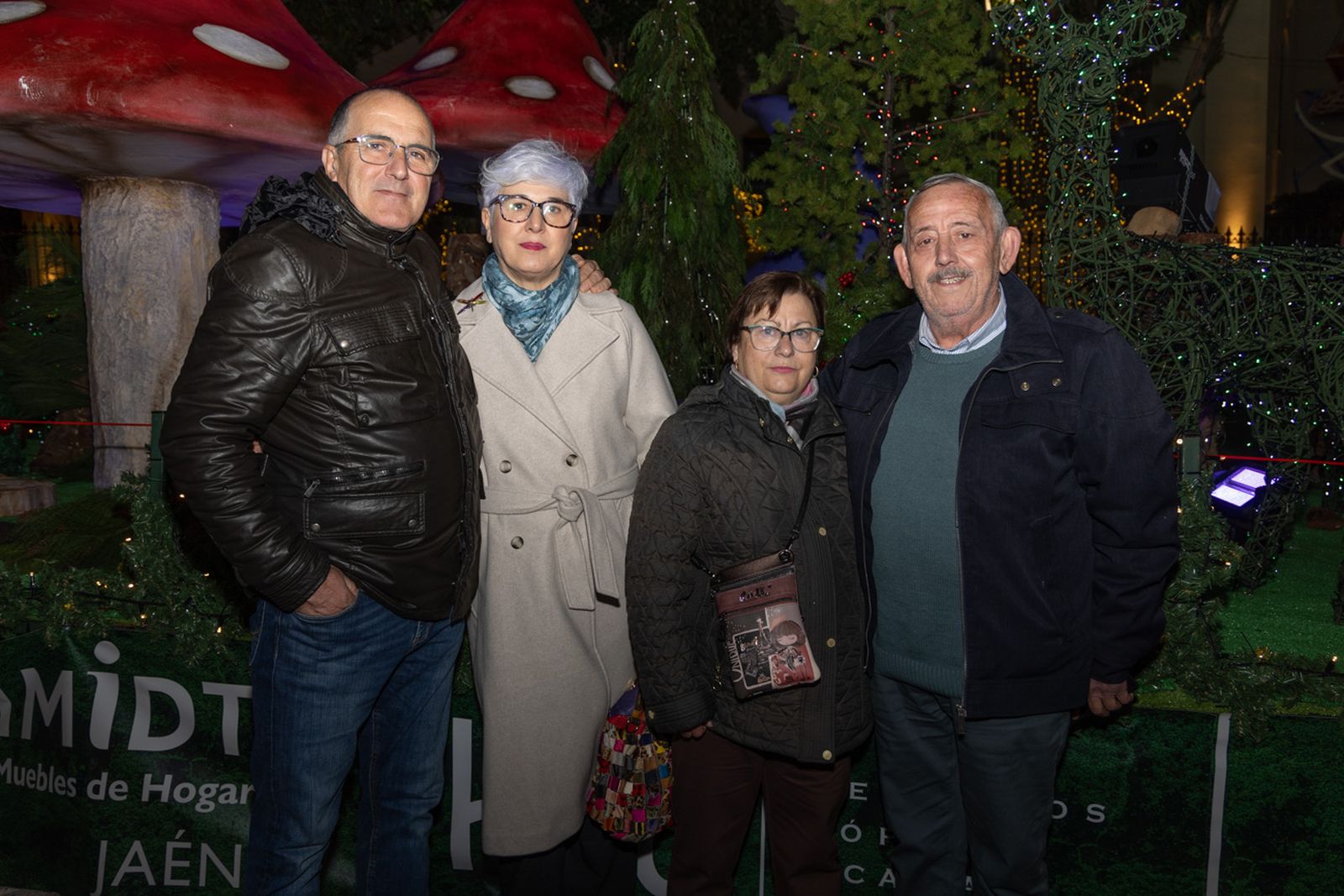 Los jiennenses disfrutan del centro de la ciudad, rodeados de un ambiente navideño