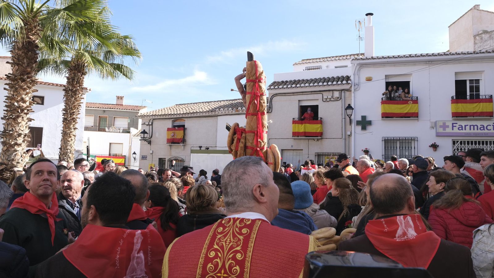 Procesión de San Sebastián y tirada de roscos en Lubrín, en imágenes