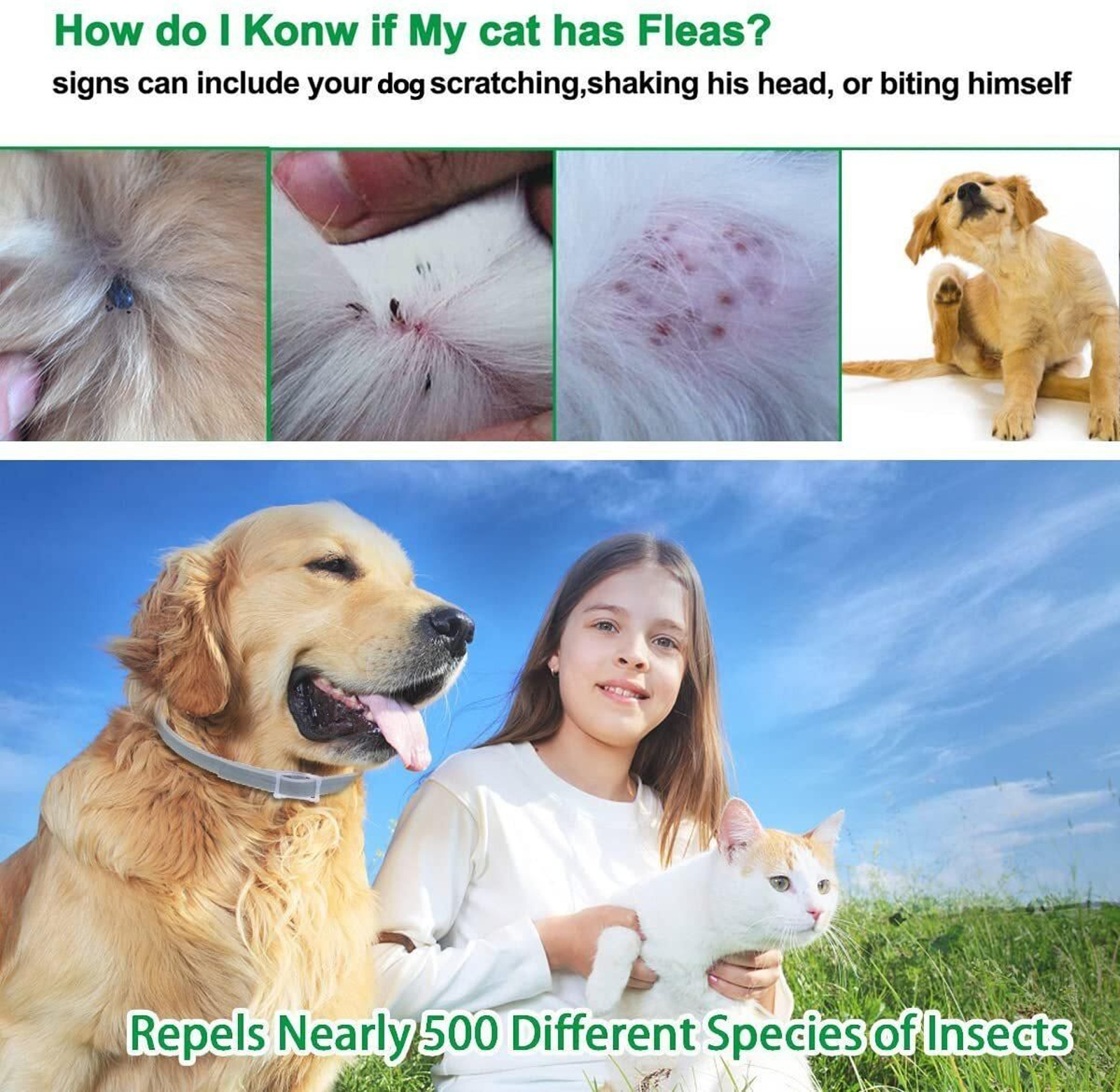 Las mejores ofertas para mascotas.