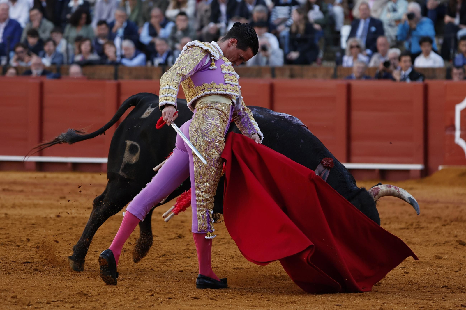 Las Imágenes del festejo