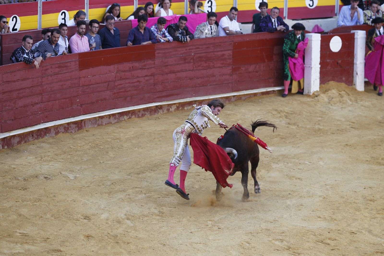 Fotogalería novillada Escuela Taurina de Almería. Feria de Almería 2019