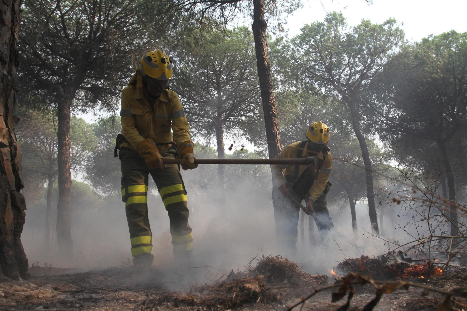 Las imágenes del incendio en Moguer y Mazagón