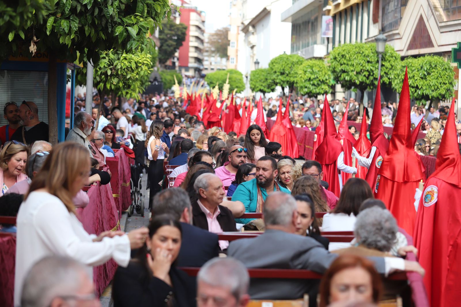 Imágenes del recorrido de la Borriquita  por las calles de Huelva