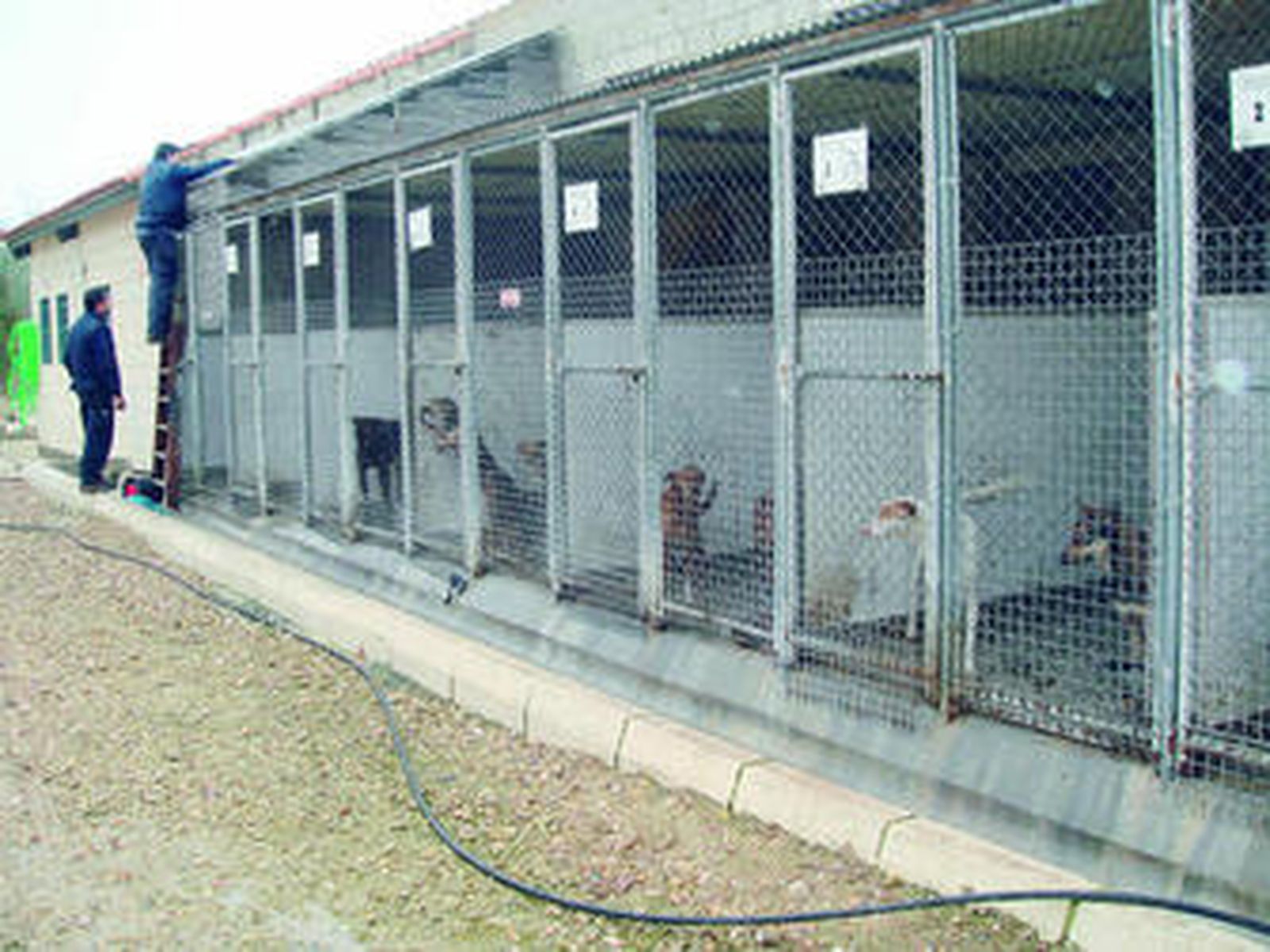 Unos operarios trabajan en las instalaciones de Egemasa para el control animal.