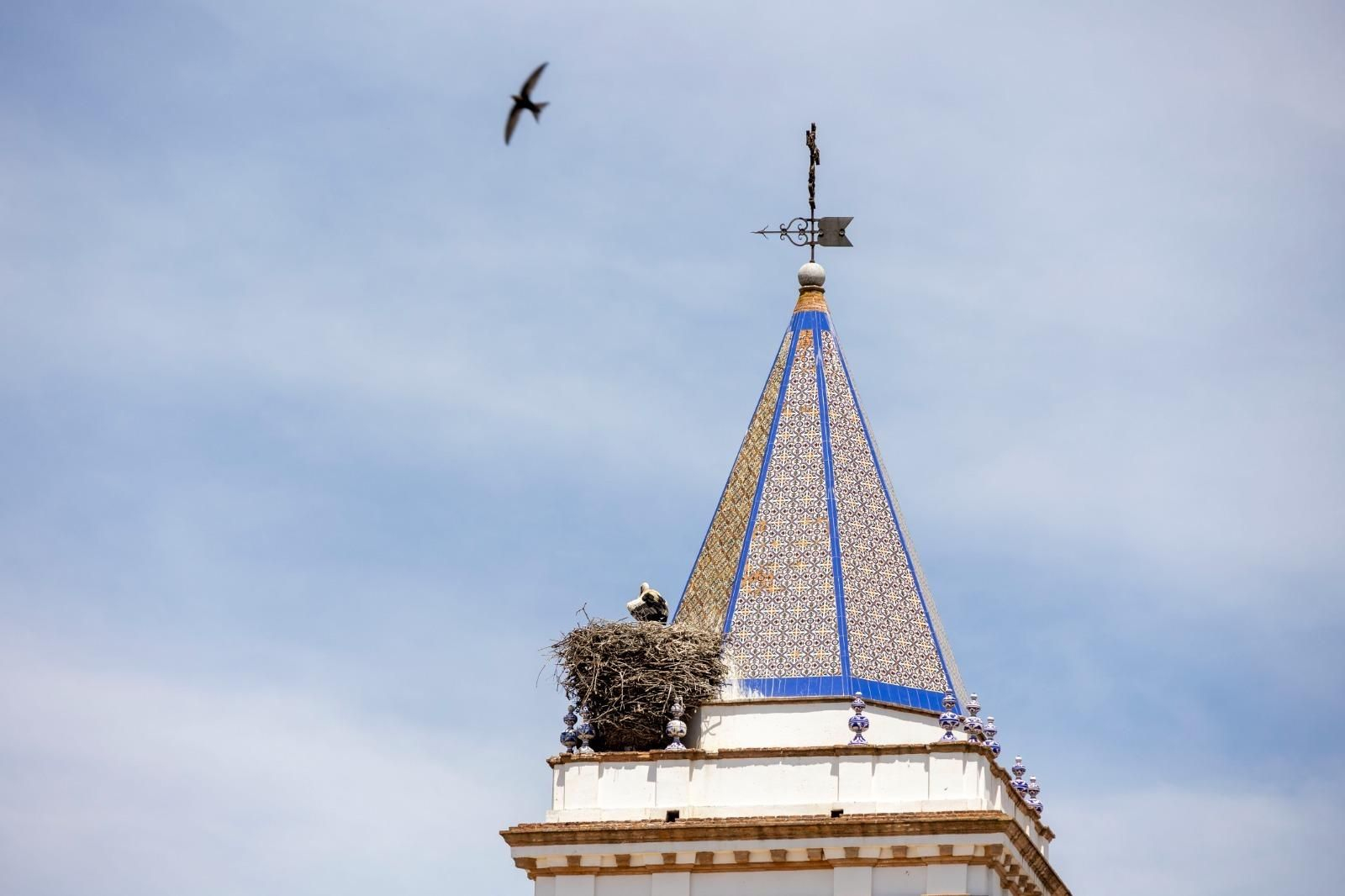 Trebujena, ante las elecciones municipales del 28-M