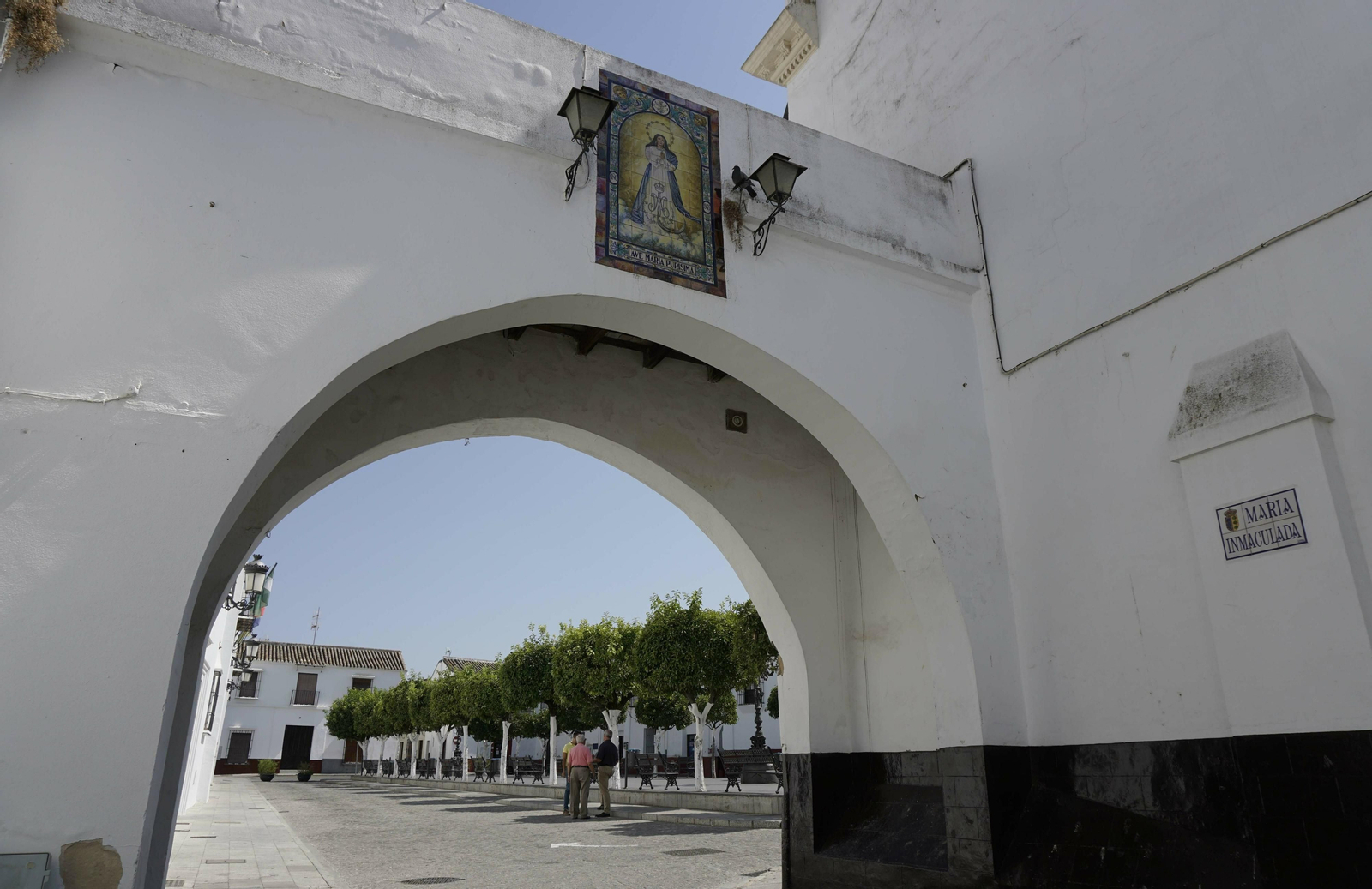 Olivares, en imágenes