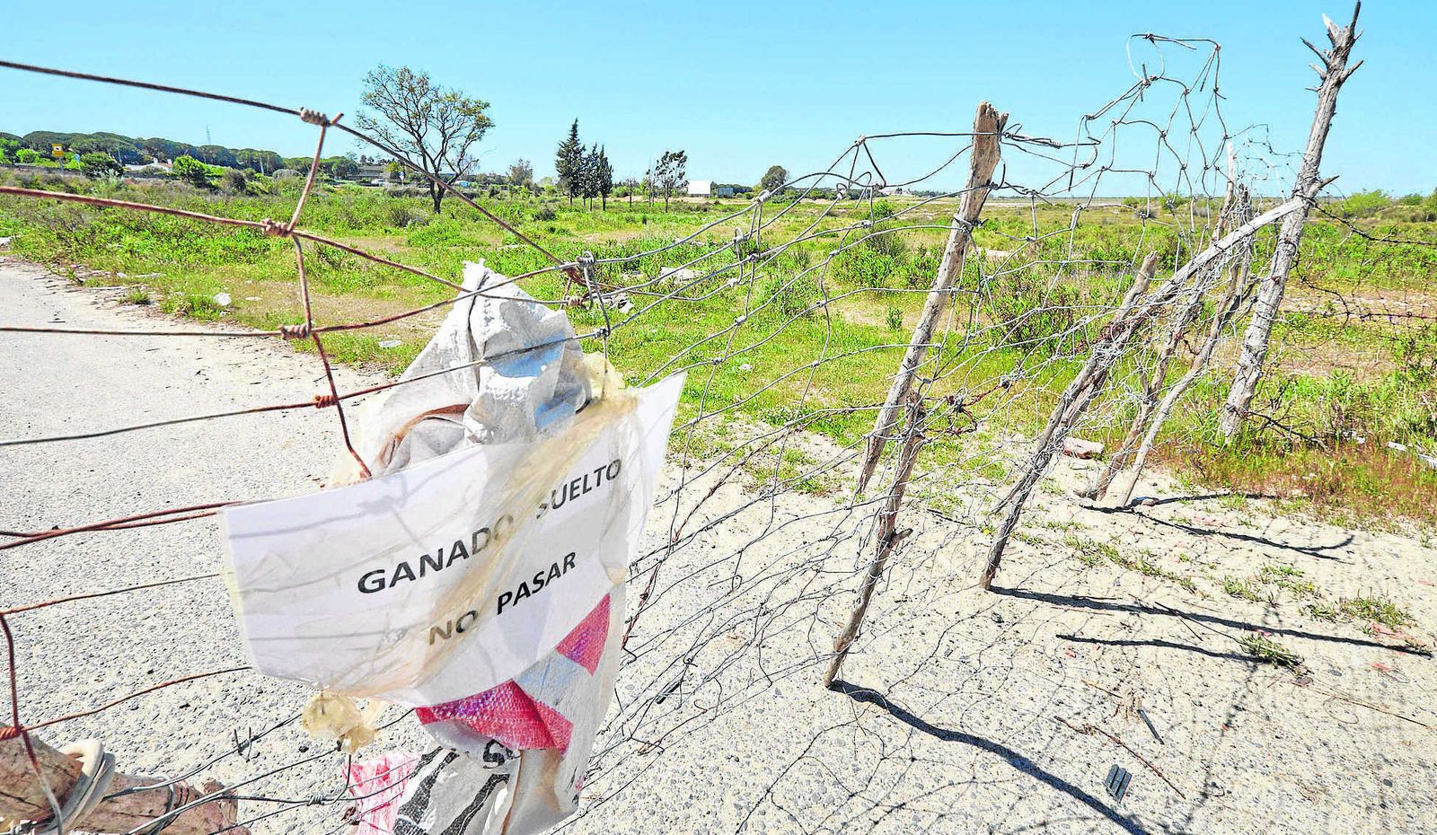 Imagen reciente de una de las entradas al terreno de Las Aletas, en el término municipal de Puerto Real.