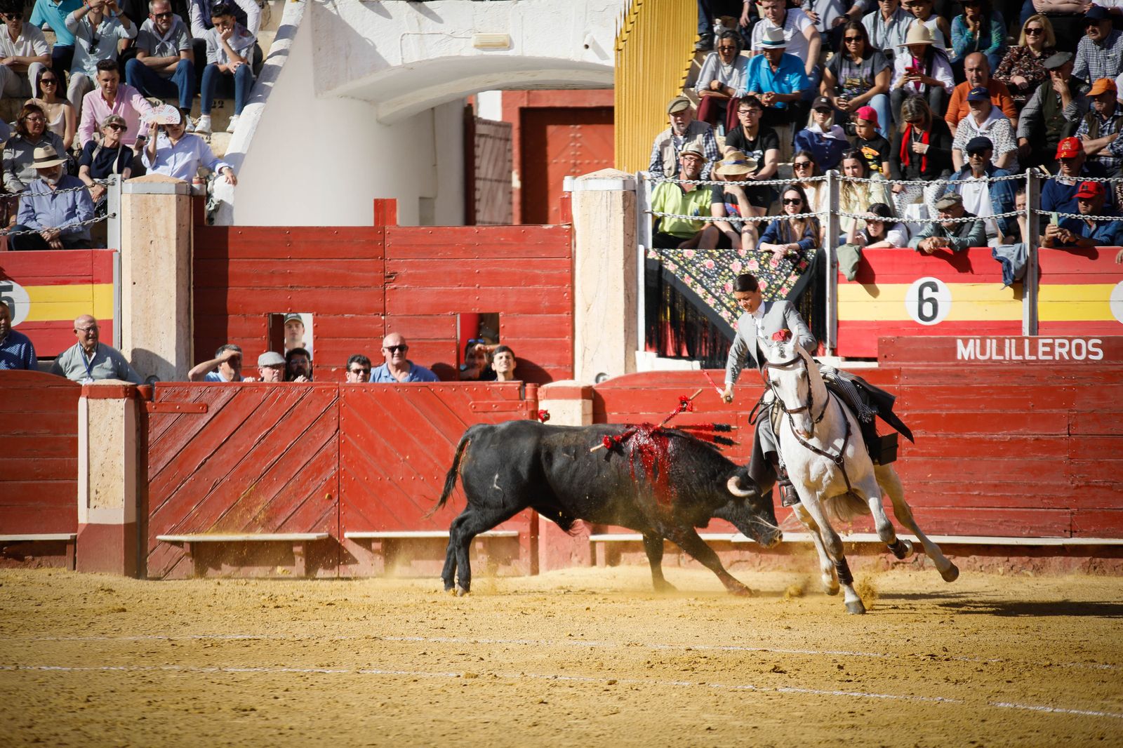 Imágenes del festival mixto lucha contra el cáncer