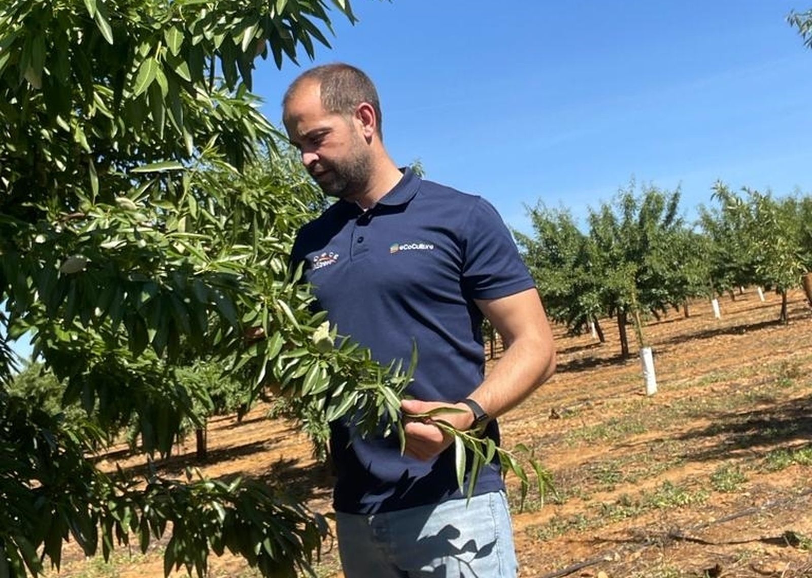 Un miembro del equipo de Ecoculture analiza un cultivo.