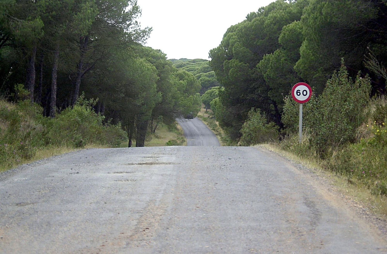 Carretera emplazada en un camino rural que se ubica en la provincia de Huelva.