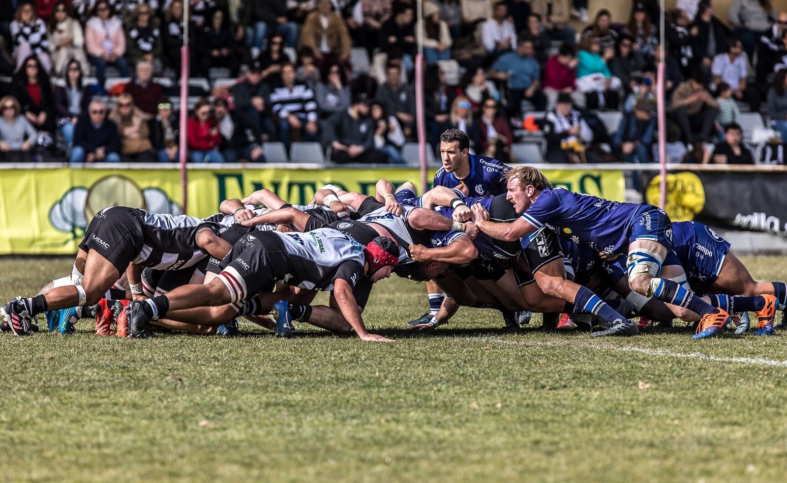 Una imagen de una melé entre el Ciencias Enerside y El Salvador.