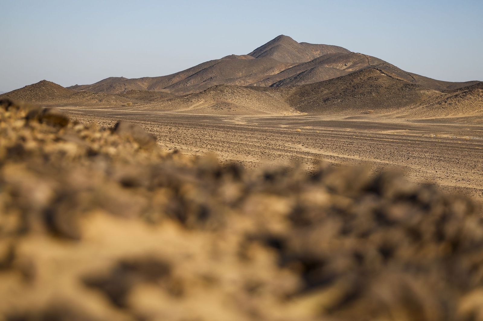 Las mejores fotos del Rally Dakar | Novena etapa