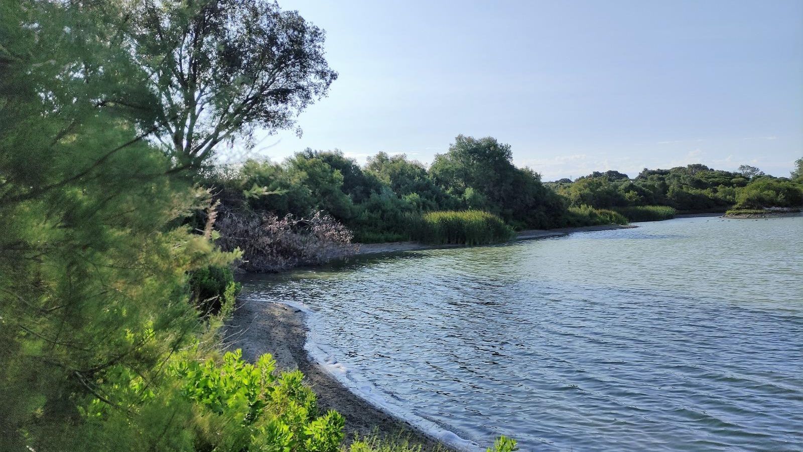 Imagen del embalse del Gato facilitada por Ecologistas en Acción. Imagen del embalse del Gato facilitada por Ecologistas en Acción.